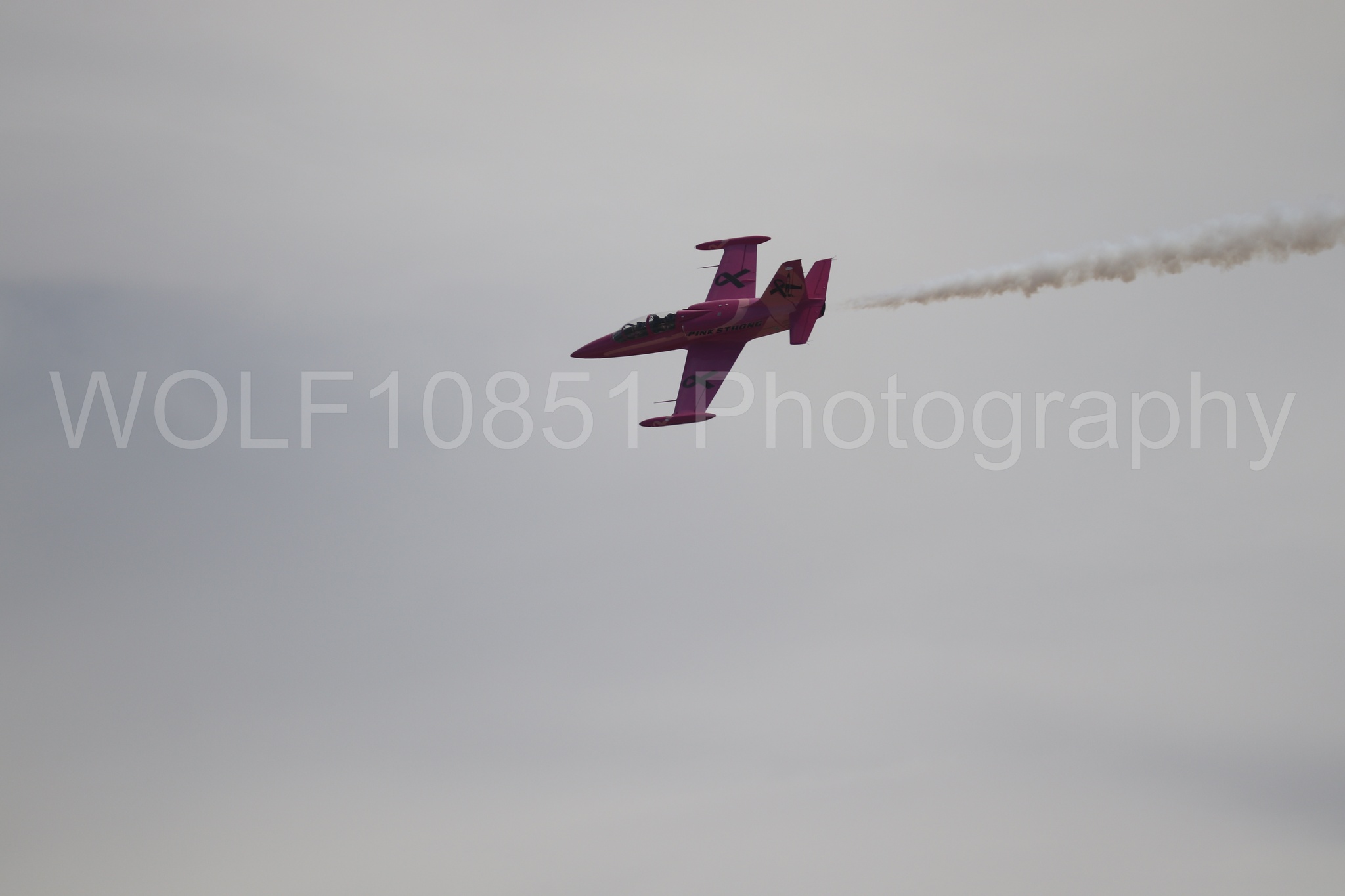 L-39 Albatros | WOLF10851 Photography