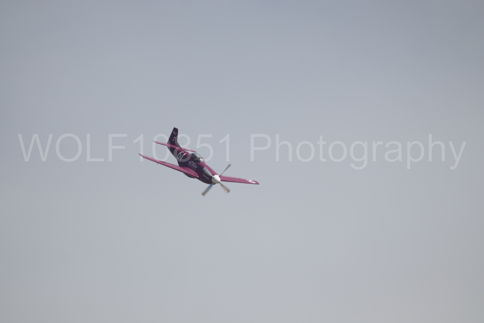 P-51 Mustang | Vicky Benzing | WOLF10851 Photography