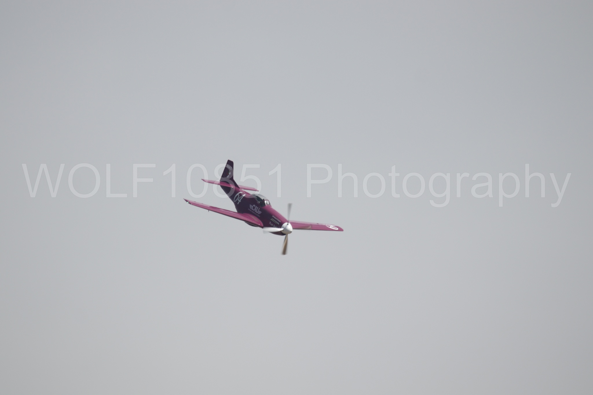 P-51 Mustang | Vicky Benzing | WOLF10851 Photography
