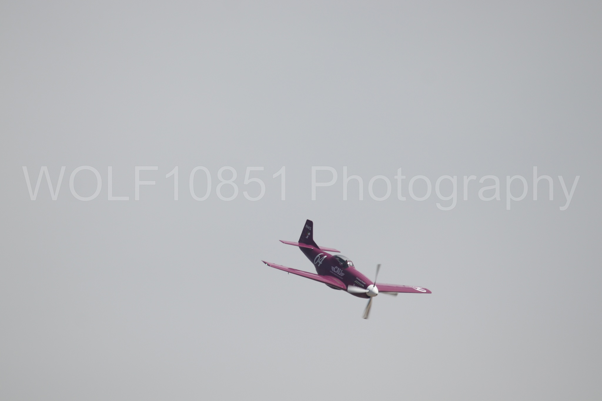 P-51 Mustang | Vicky Benzing | WOLF10851 Photography