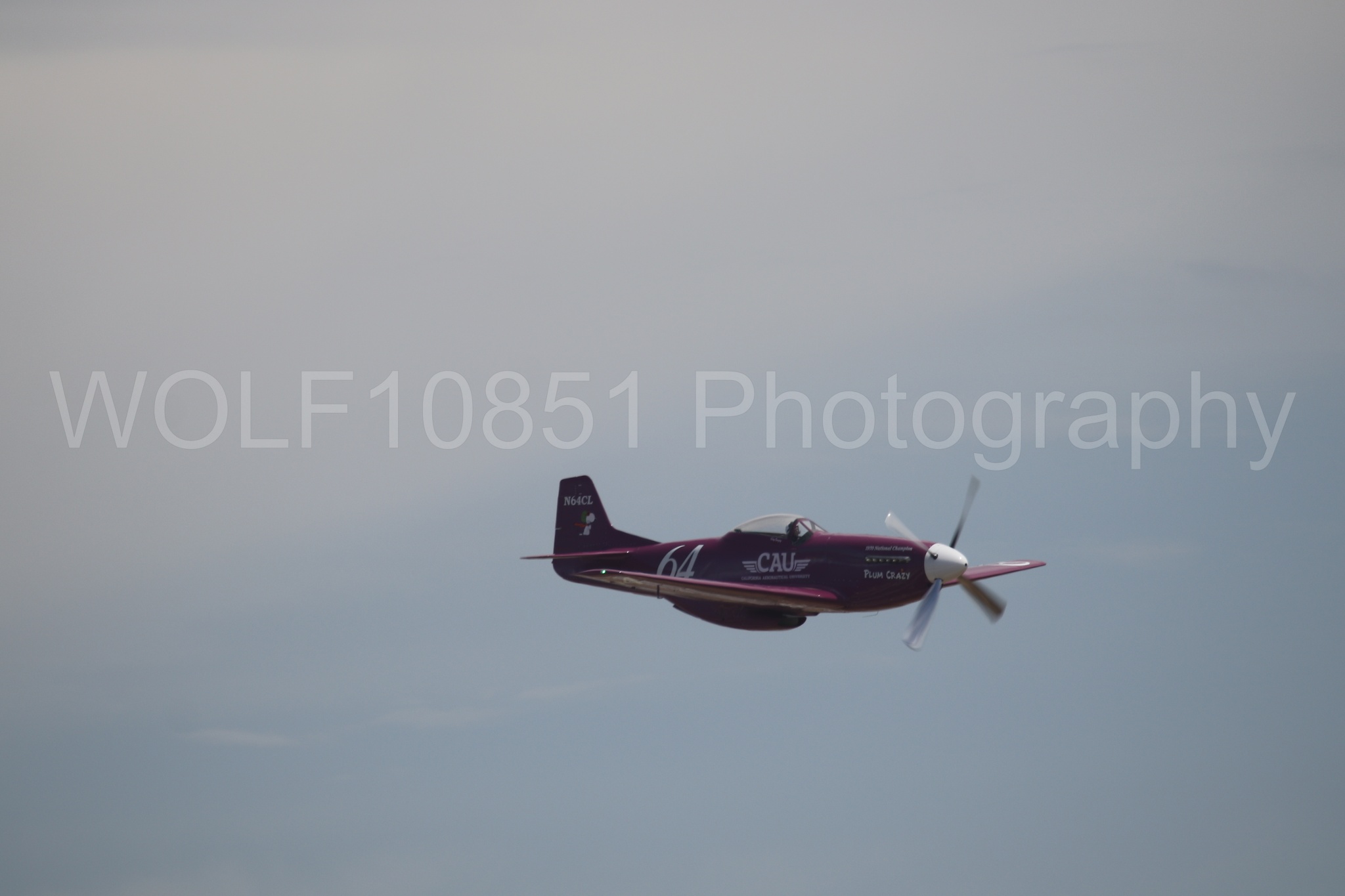 P-51 Mustang | Vicky Benzing | WOLF10851 Photography