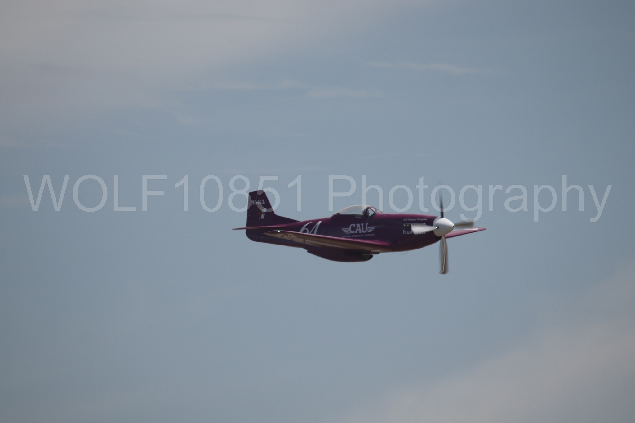 P-51 Mustang | Vicky Benzing | WOLF10851 Photography