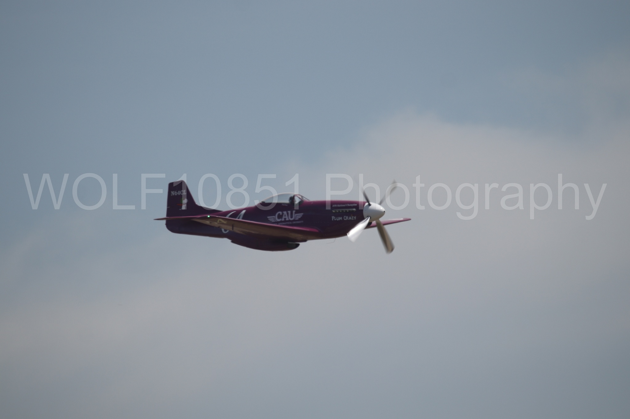 P-51 Mustang | Vicky Benzing | WOLF10851 Photography