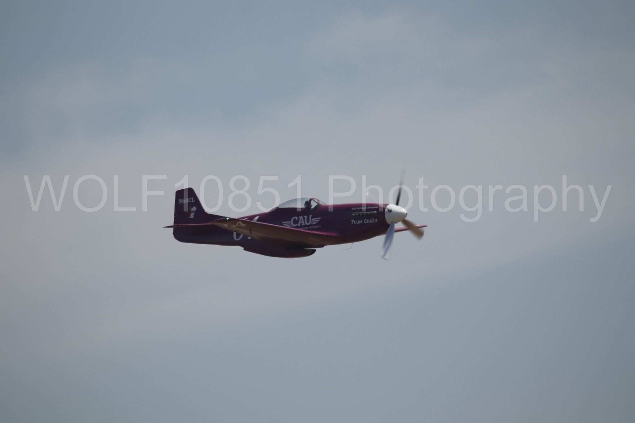 P-51 Mustang | Vicky Benzing | WOLF10851 Photography