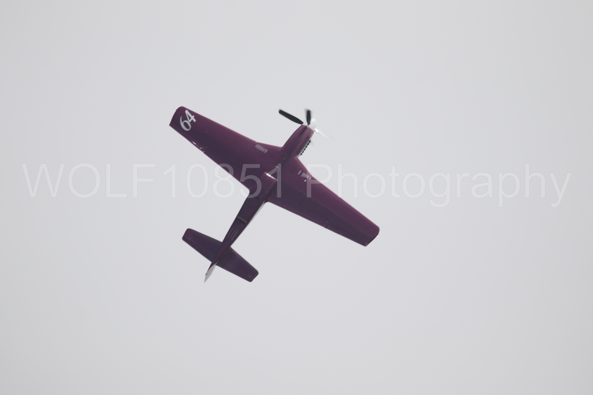 P-51 Mustang | Vicky Benzing | WOLF10851 Photography