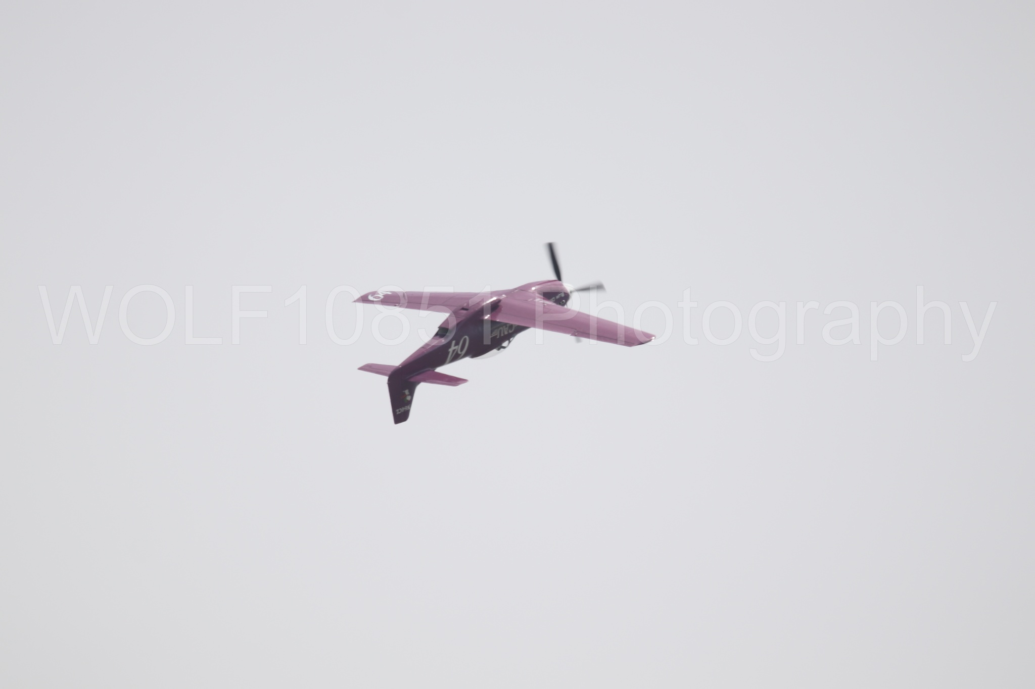 P-51 Mustang | Vicky Benzing | WOLF10851 Photography