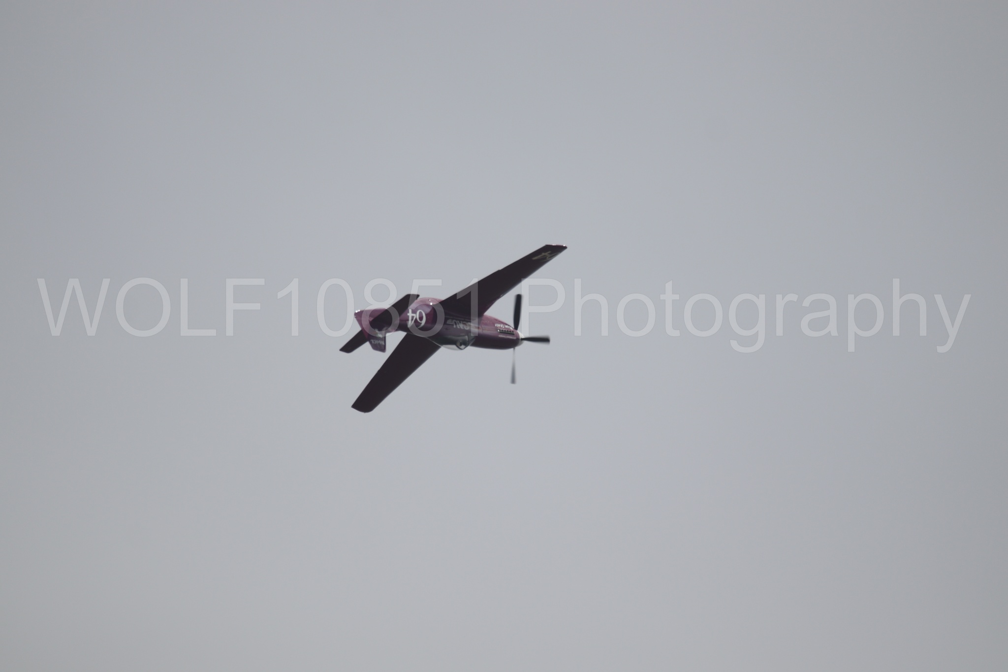 P-51 Mustang | Vicky Benzing | WOLF10851 Photography