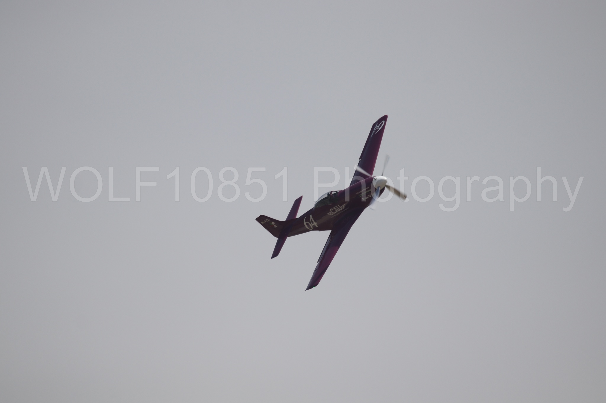 P-51 Mustang | Vicky Benzing | WOLF10851 Photography