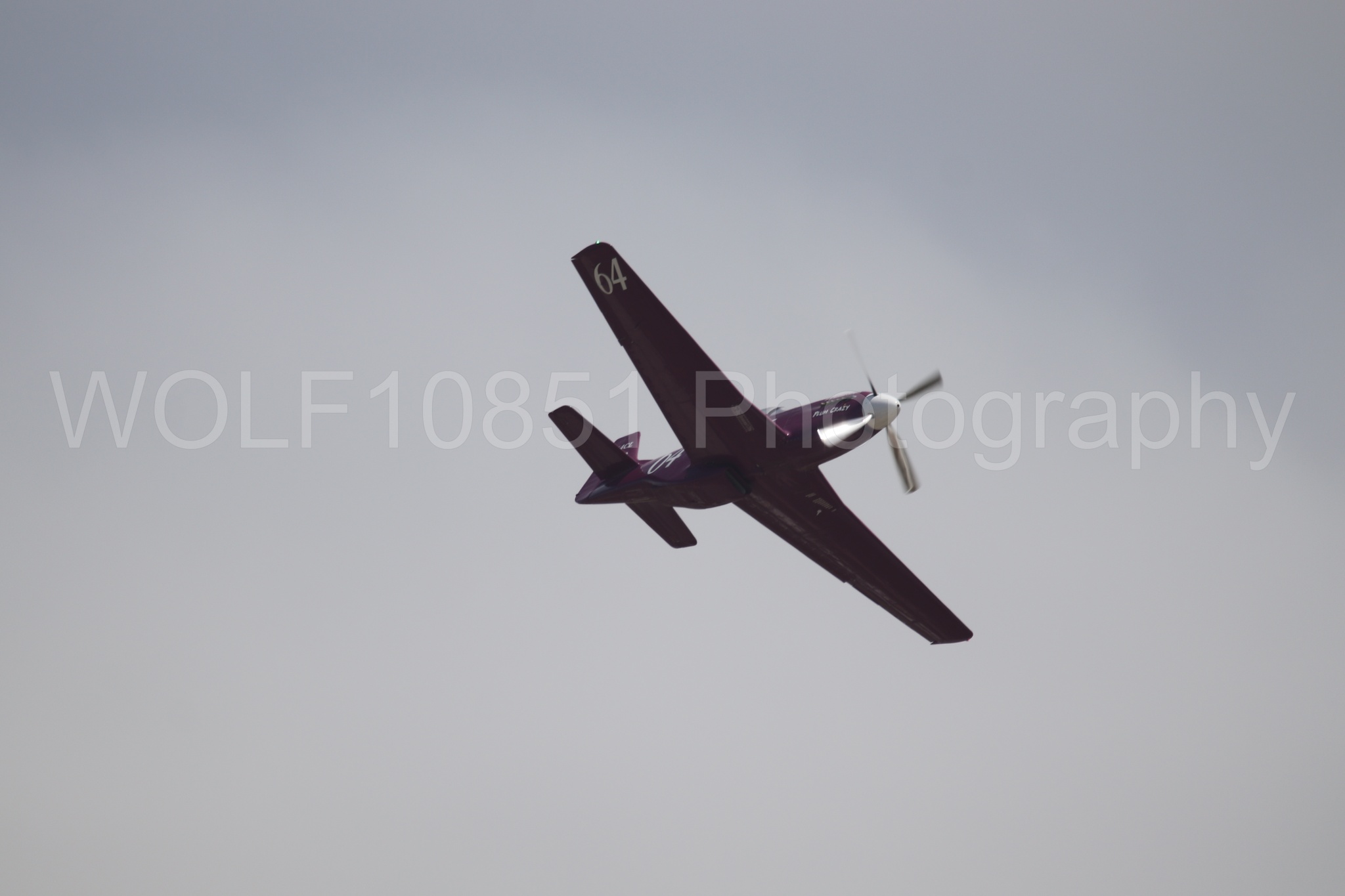 P-51 Mustang | Vicky Benzing | WOLF10851 Photography