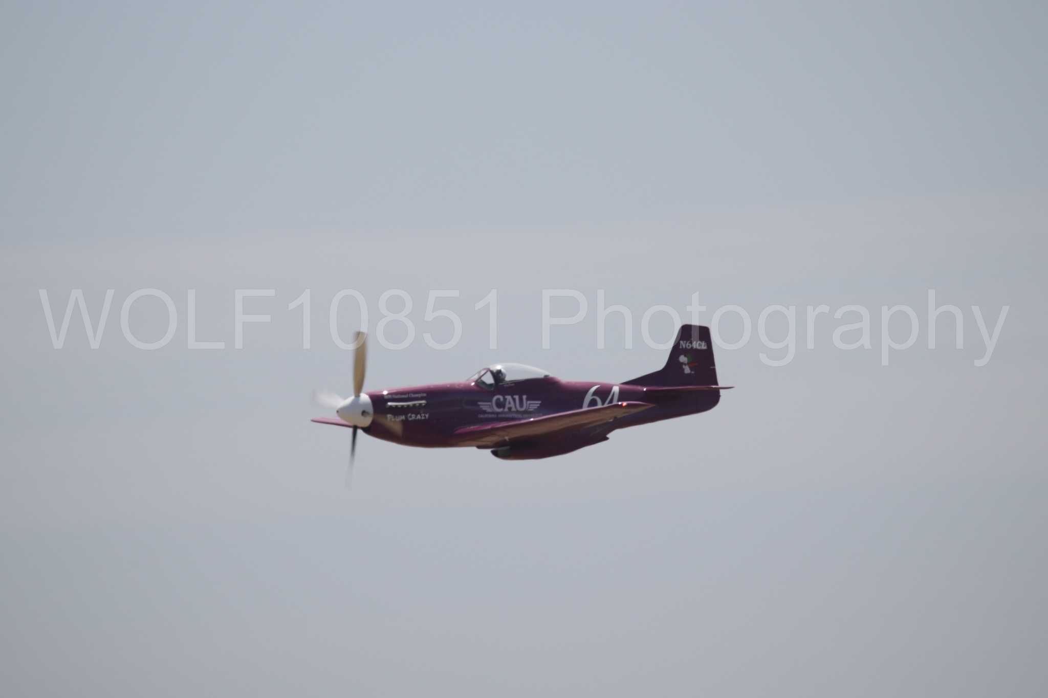 P-51 Mustang | Vicky Benzing | WOLF10851 Photography