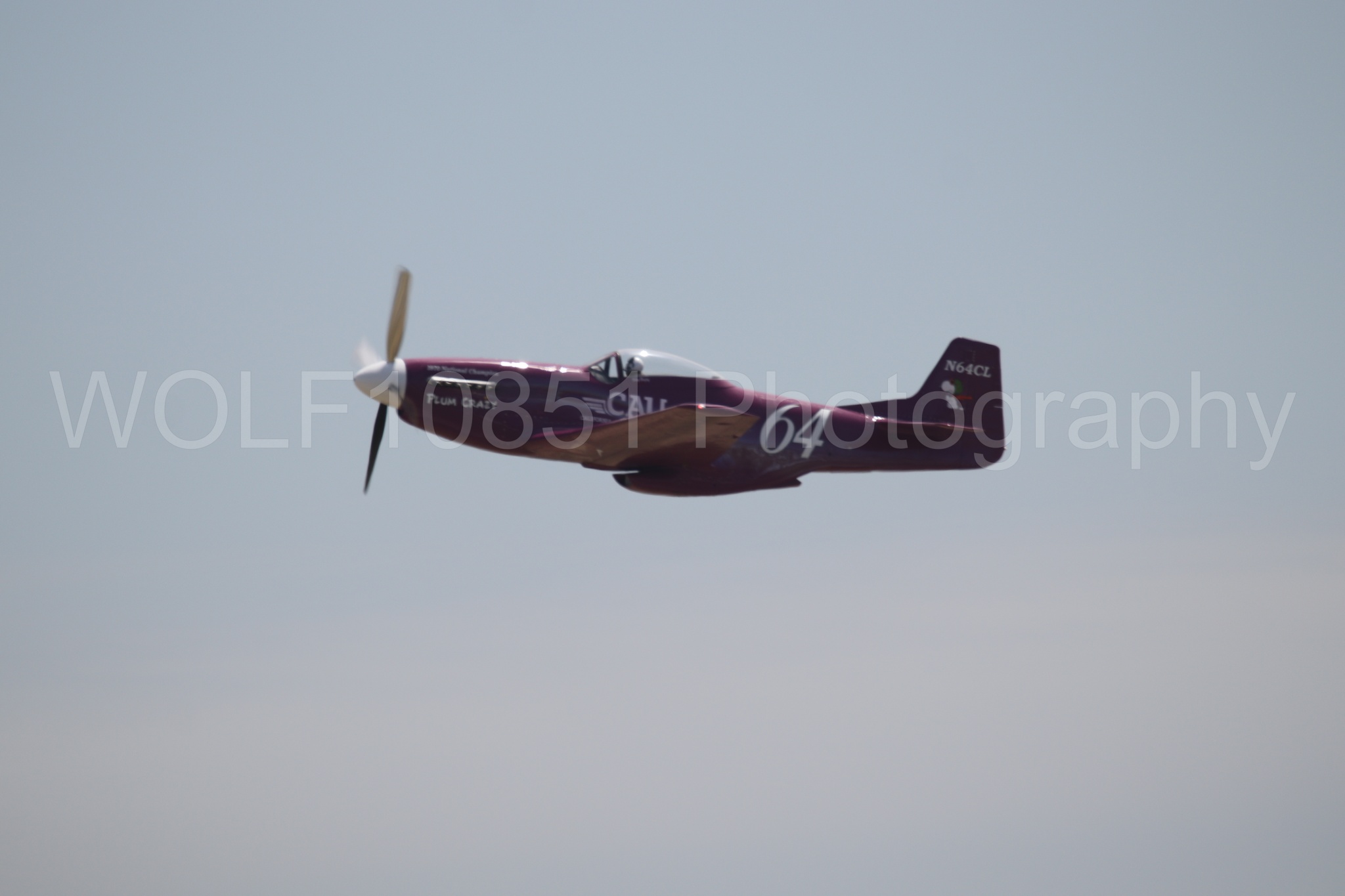 P-51 Mustang | Vicky Benzing | WOLF10851 Photography