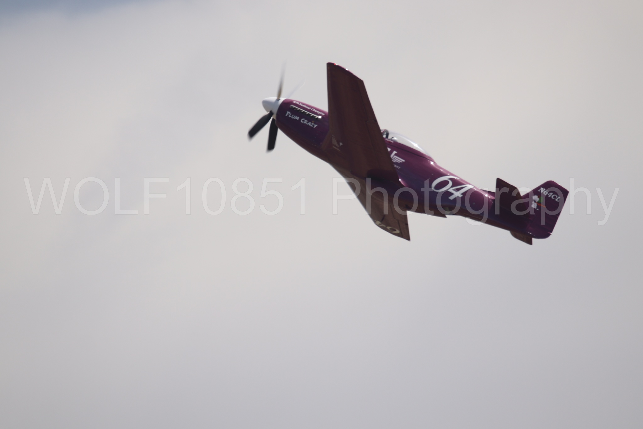 P-51 Mustang | Vicky Benzing | WOLF10851 Photography
