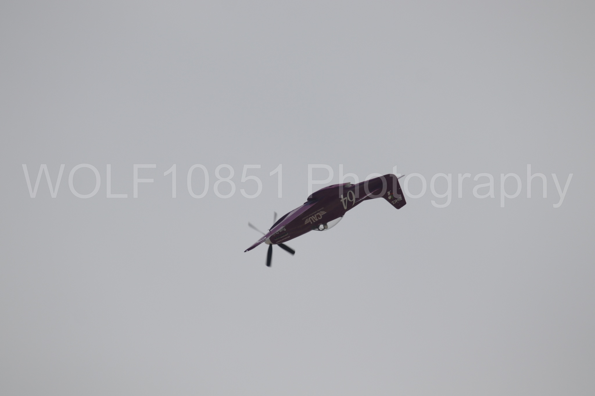 P-51 Mustang | Vicky Benzing | WOLF10851 Photography