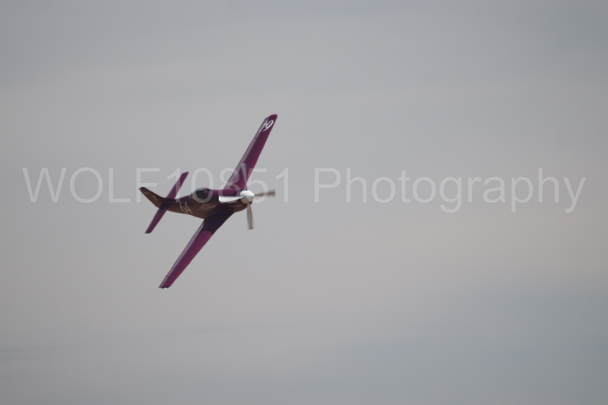 P-51 Mustang | Vicky Benzing | WOLF10851 Photography