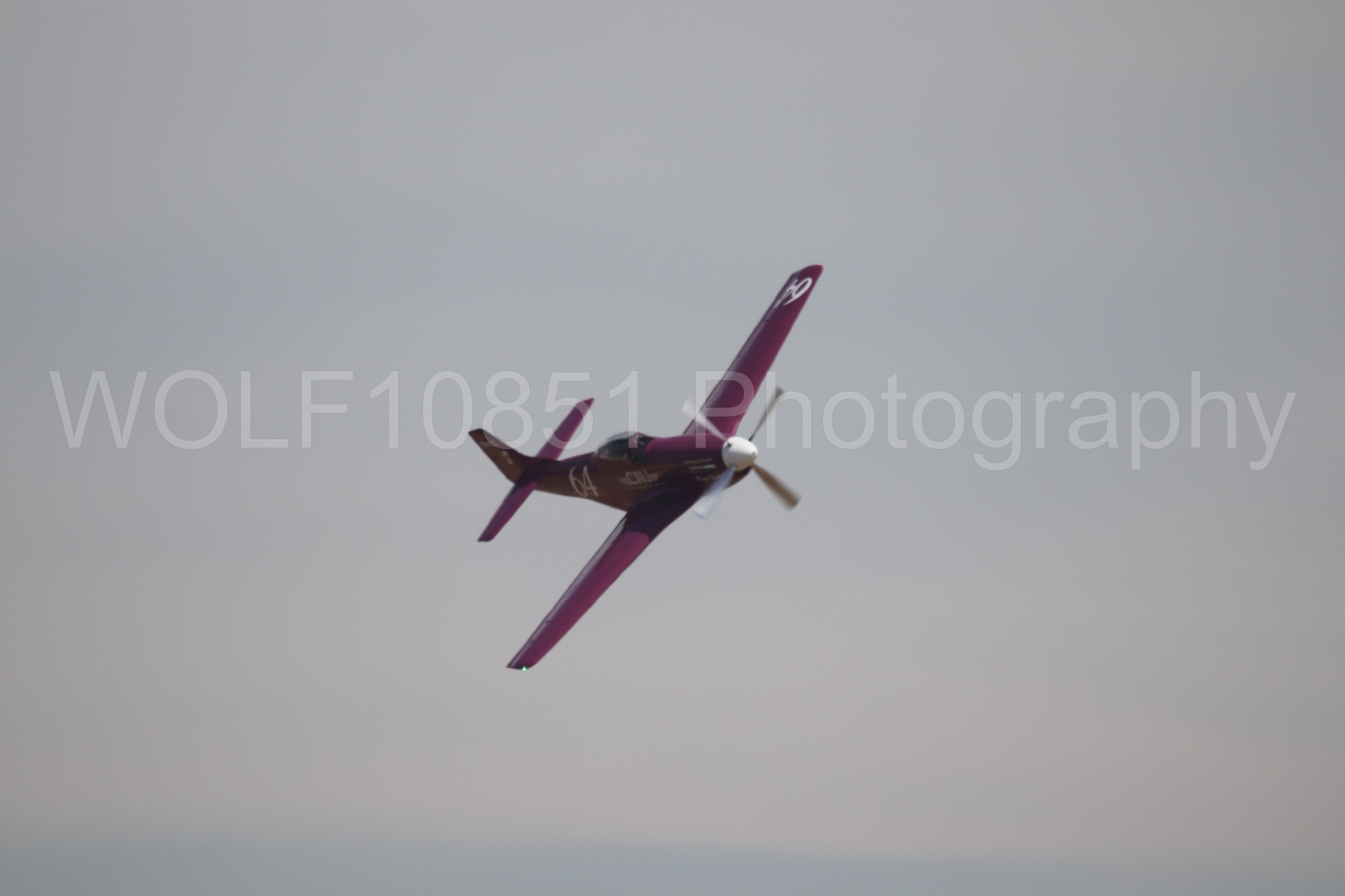 P-51 Mustang | Vicky Benzing | WOLF10851 Photography