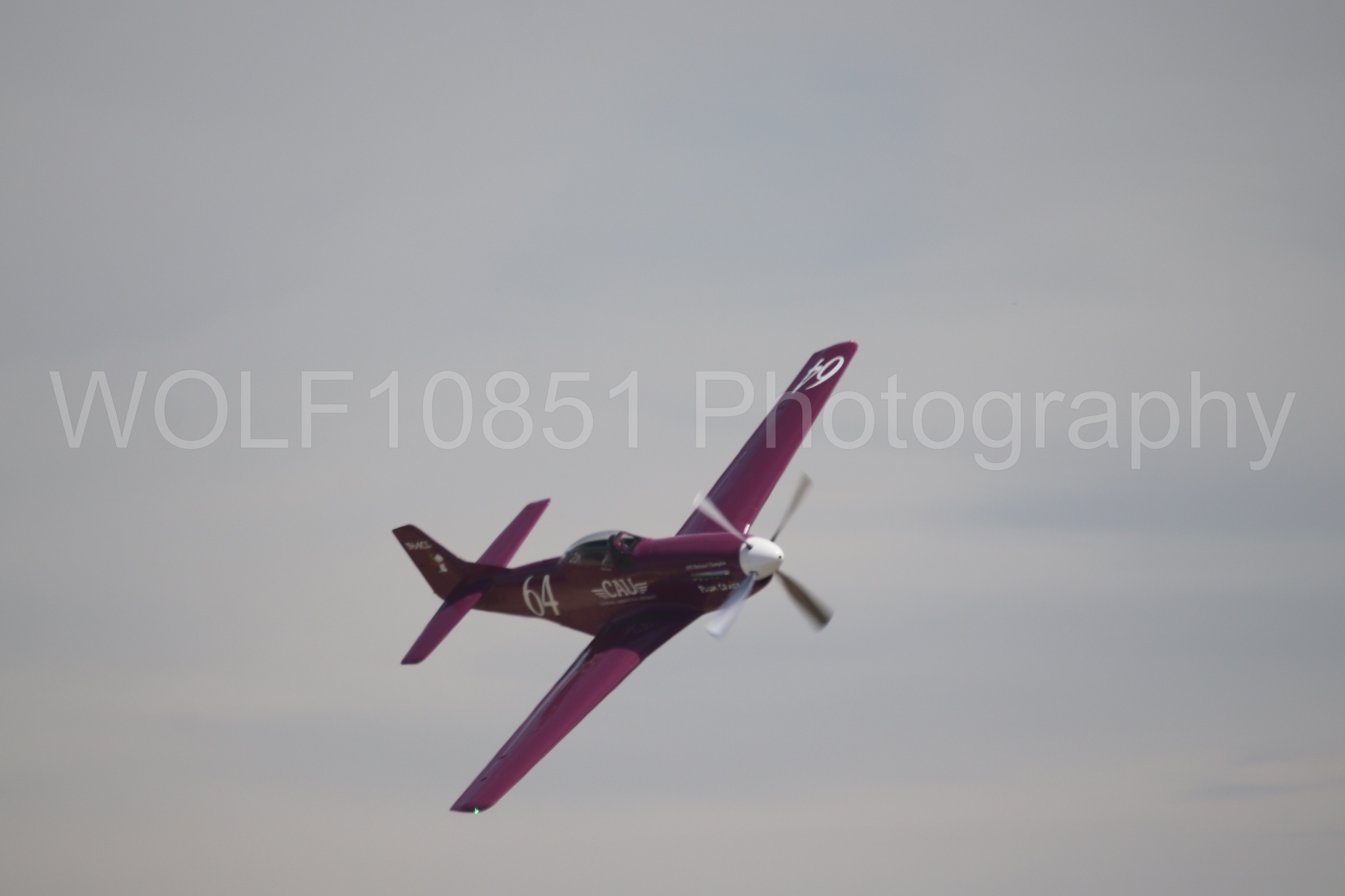 P-51 Mustang | Vicky Benzing | WOLF10851 Photography