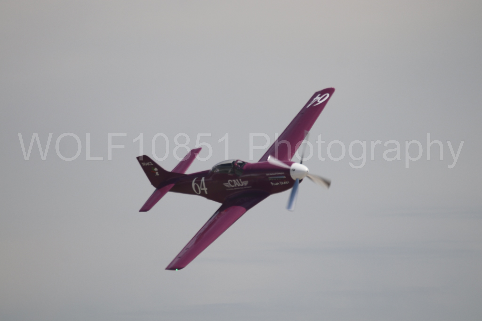 P-51 Mustang | Vicky Benzing | WOLF10851 Photography
