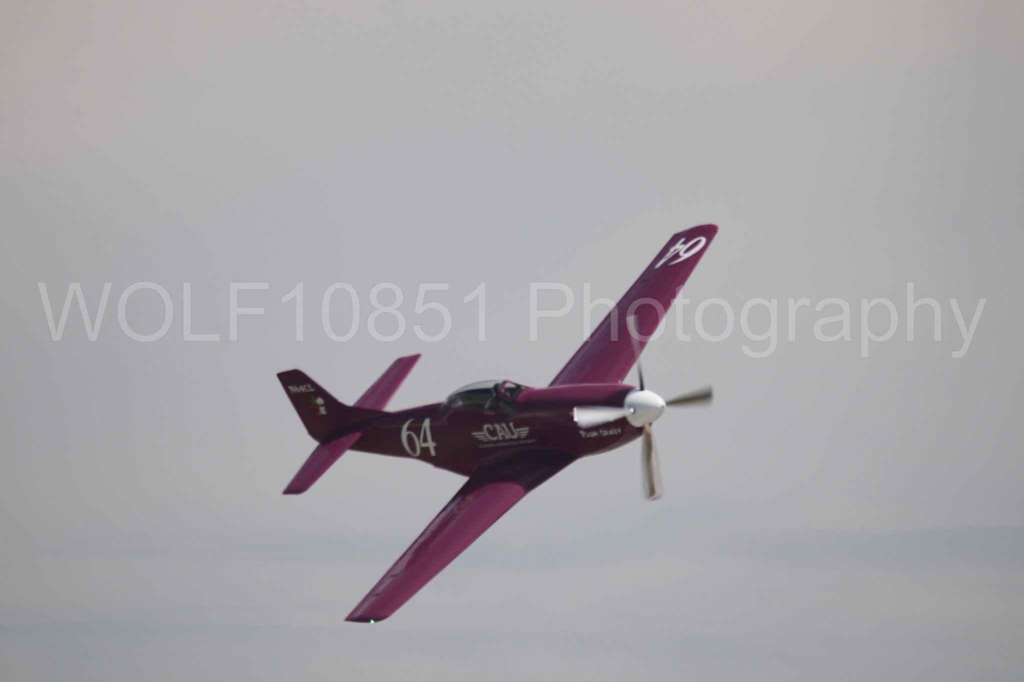 P-51 Mustang | Vicky Benzing | WOLF10851 Photography