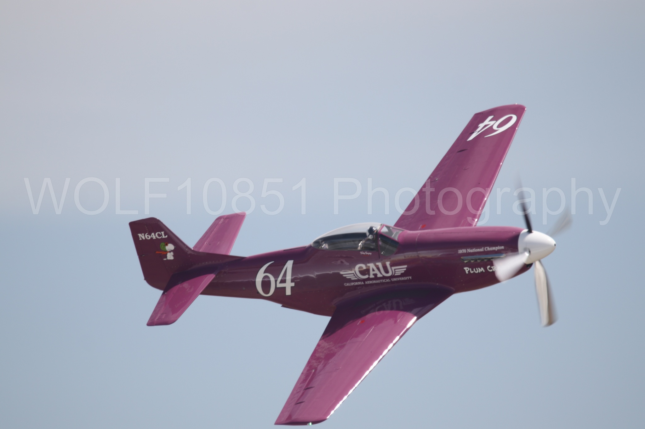 P-51 Mustang | Vicky Benzing | WOLF10851 Photography