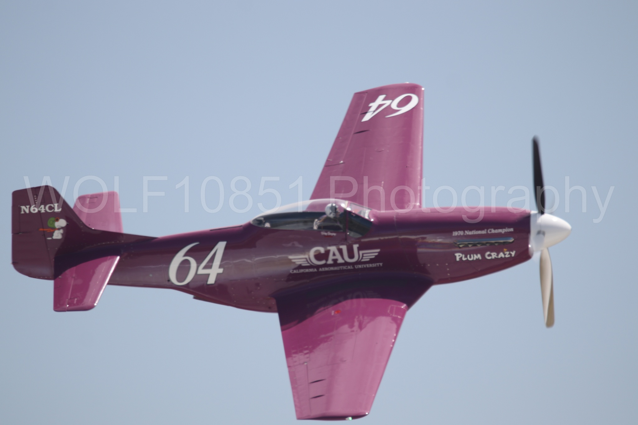 P-51 Mustang | Vicky Benzing | WOLF10851 Photography