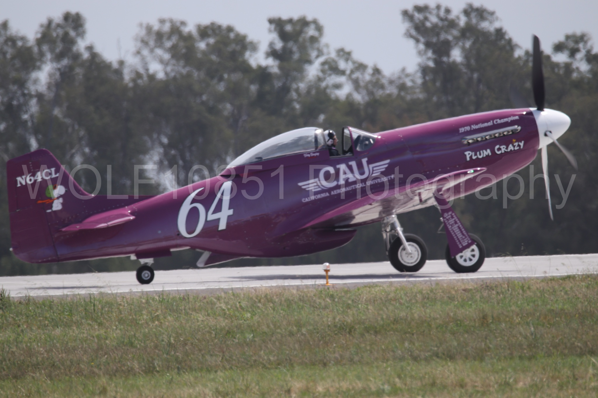 P-51 Mustang | Vicky Benzing | WOLF10851 Photography