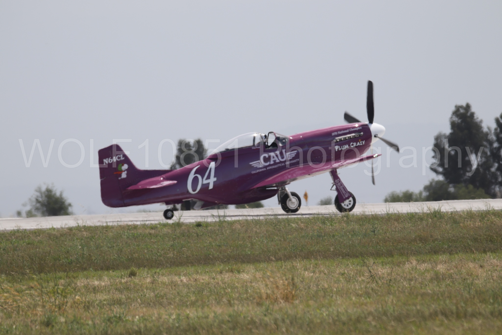 P-51 Mustang | Vicky Benzing | WOLF10851 Photography