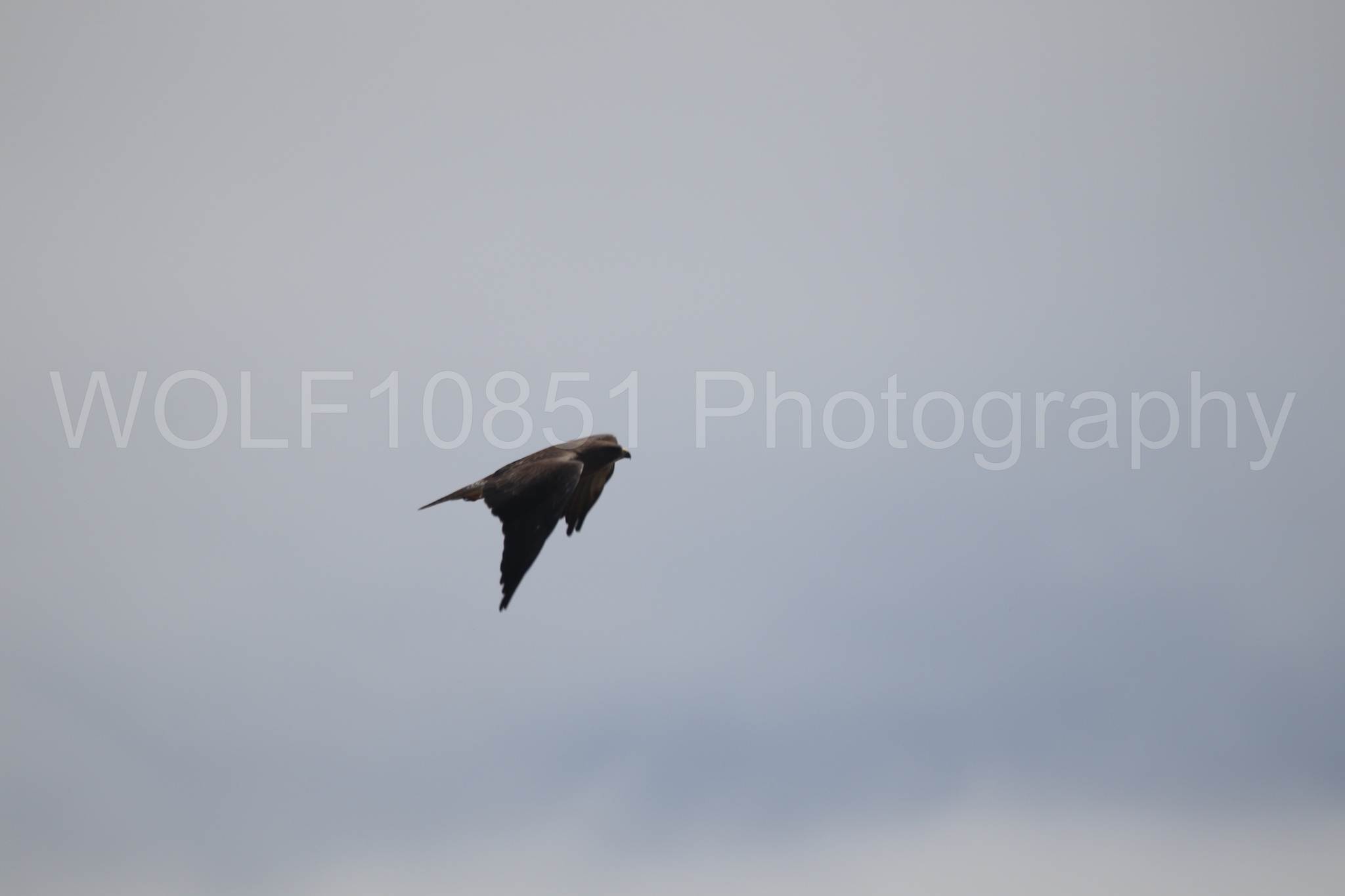 Aviation Photography | WOLF10851 Photography