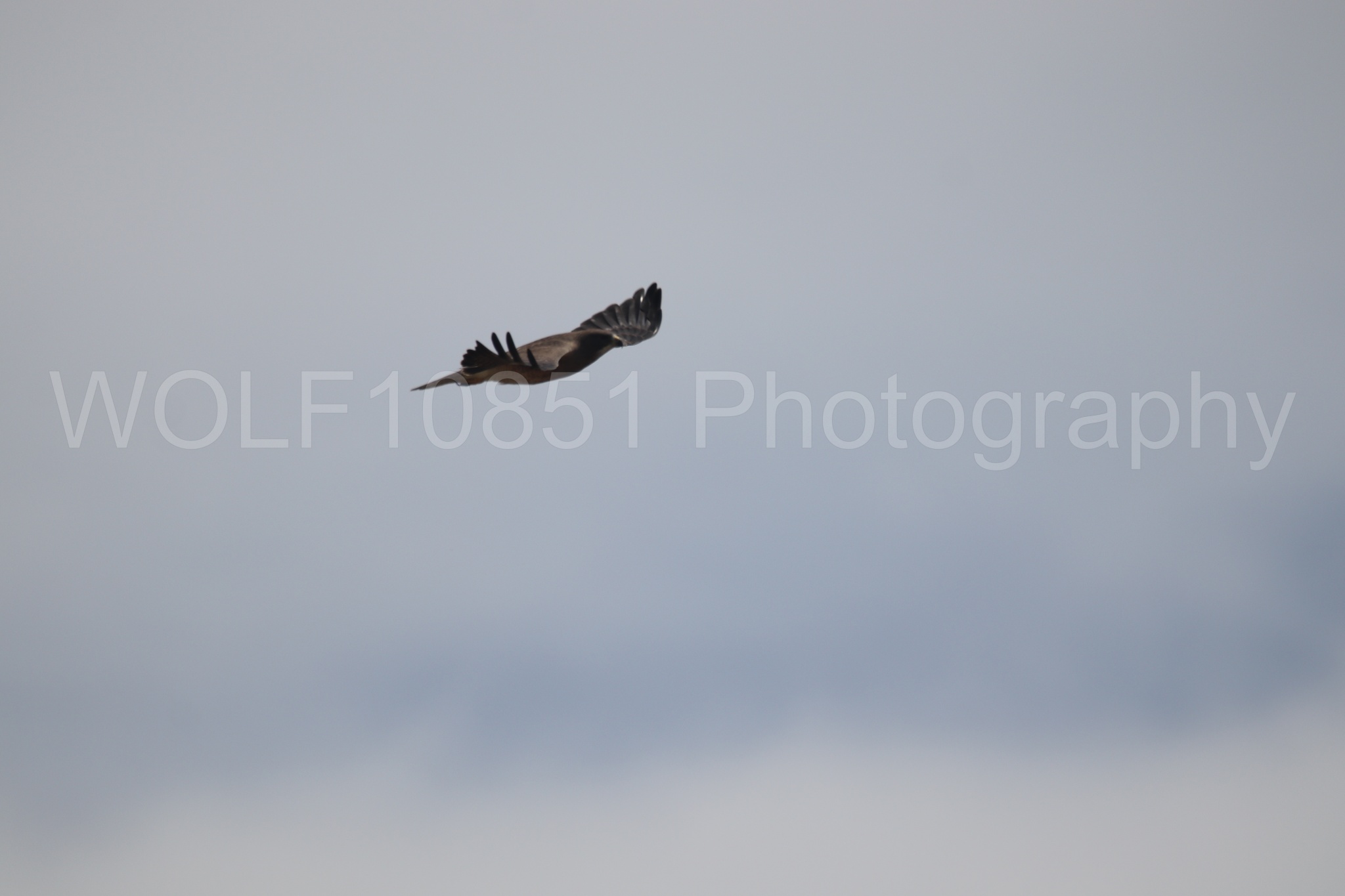 Aviation Photography | WOLF10851 Photography