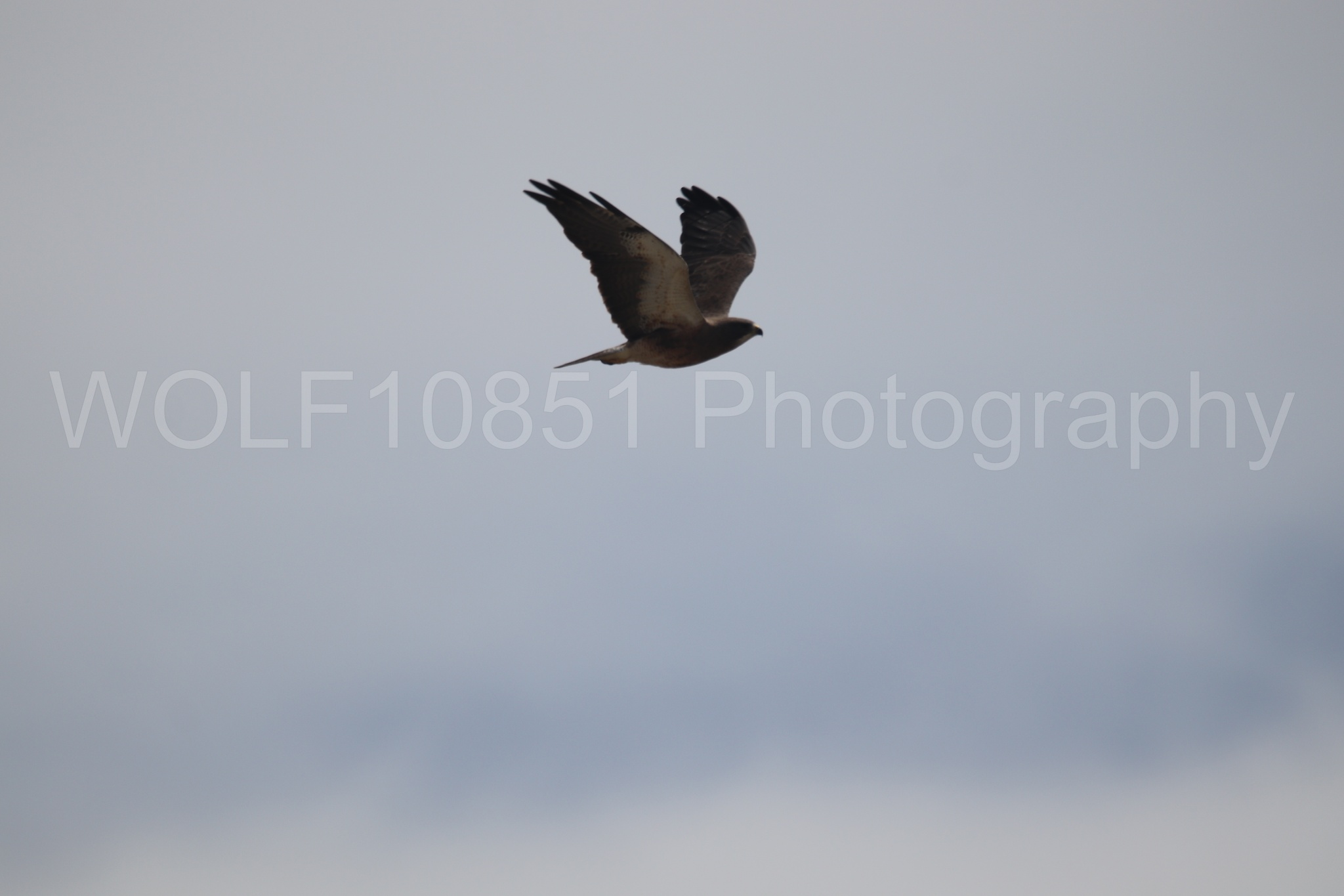 Aviation Photography | WOLF10851 Photography