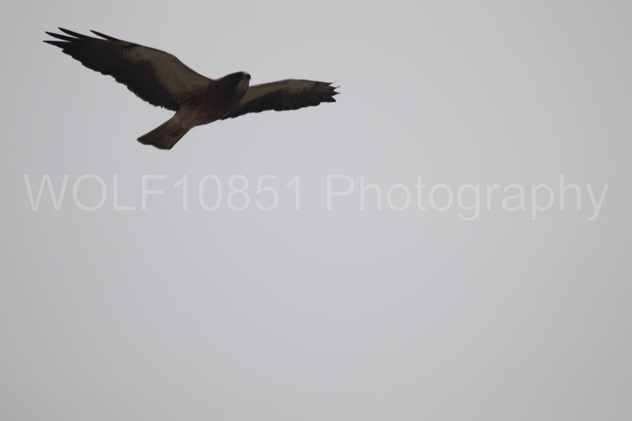 Aviation Photography | WOLF10851 Photography