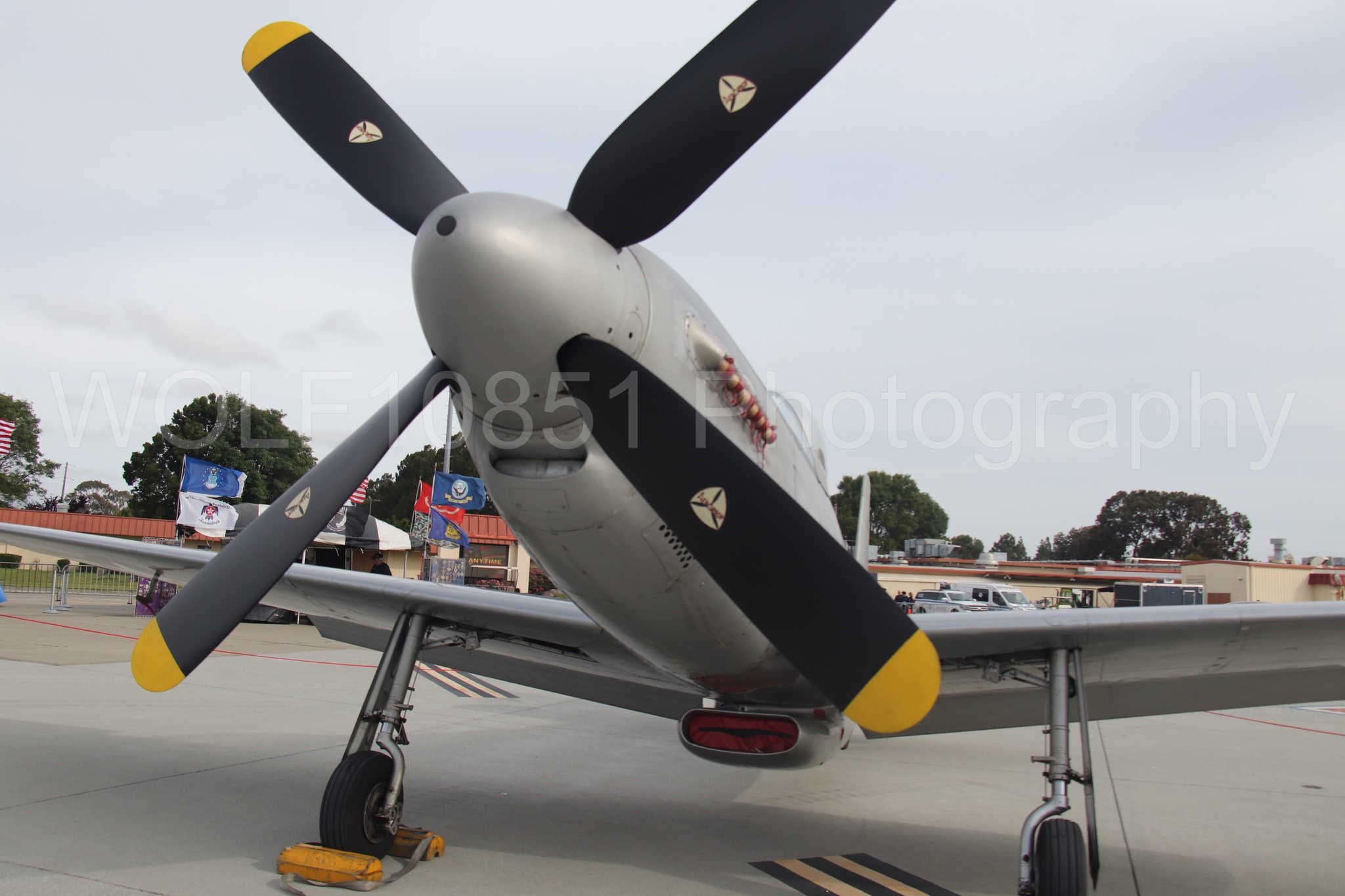 P-51 Mustang | WOLF10851 Photography