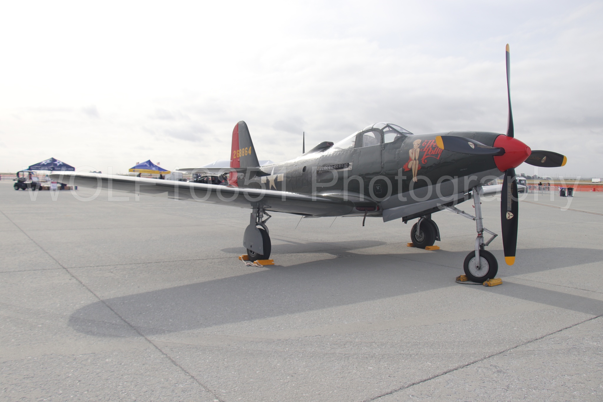 P-63 King Cobra | Pretty Polly | WOLF10851 Photography