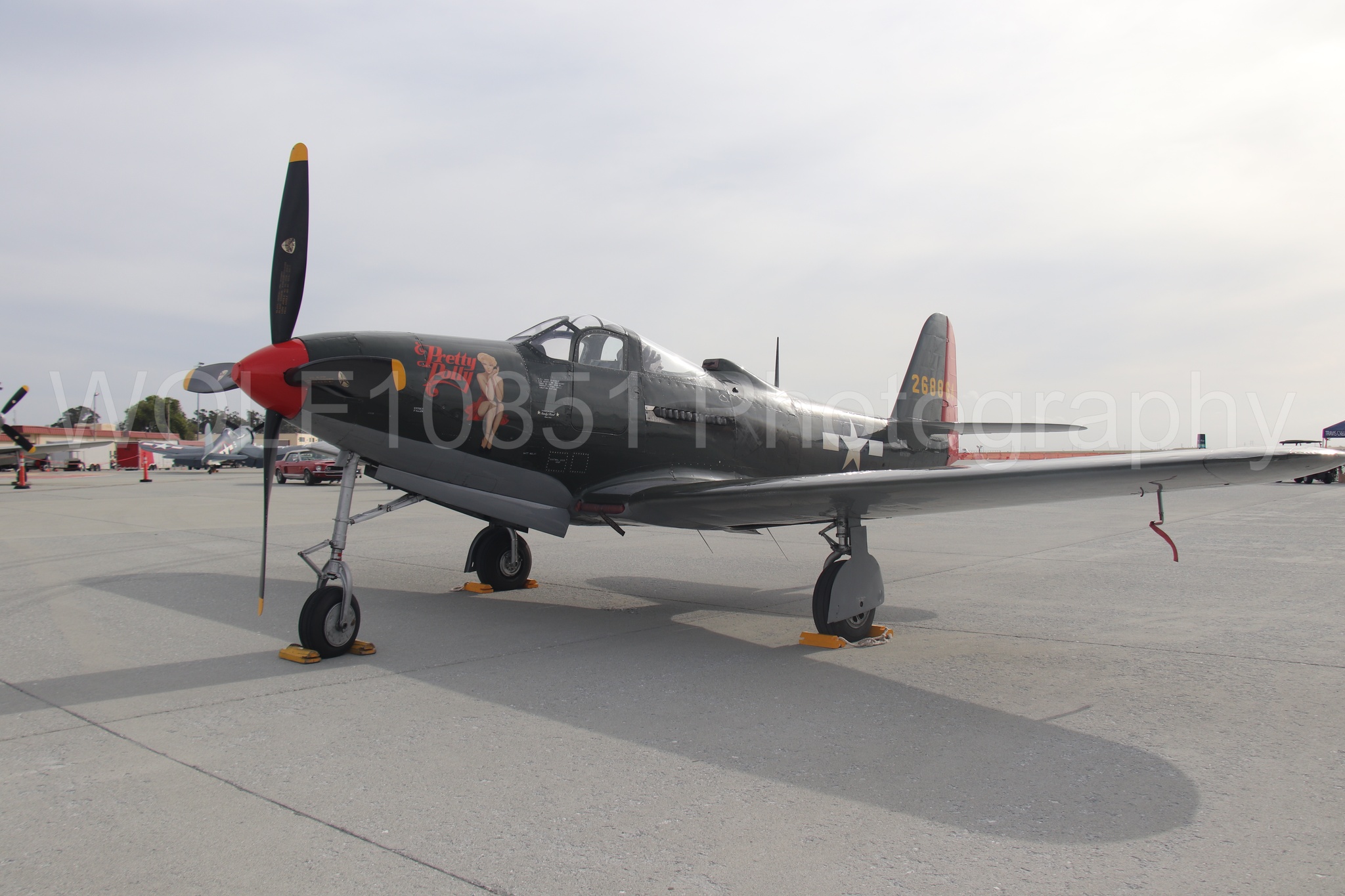 P-63 King Cobra | Pretty Polly | WOLF10851 Photography