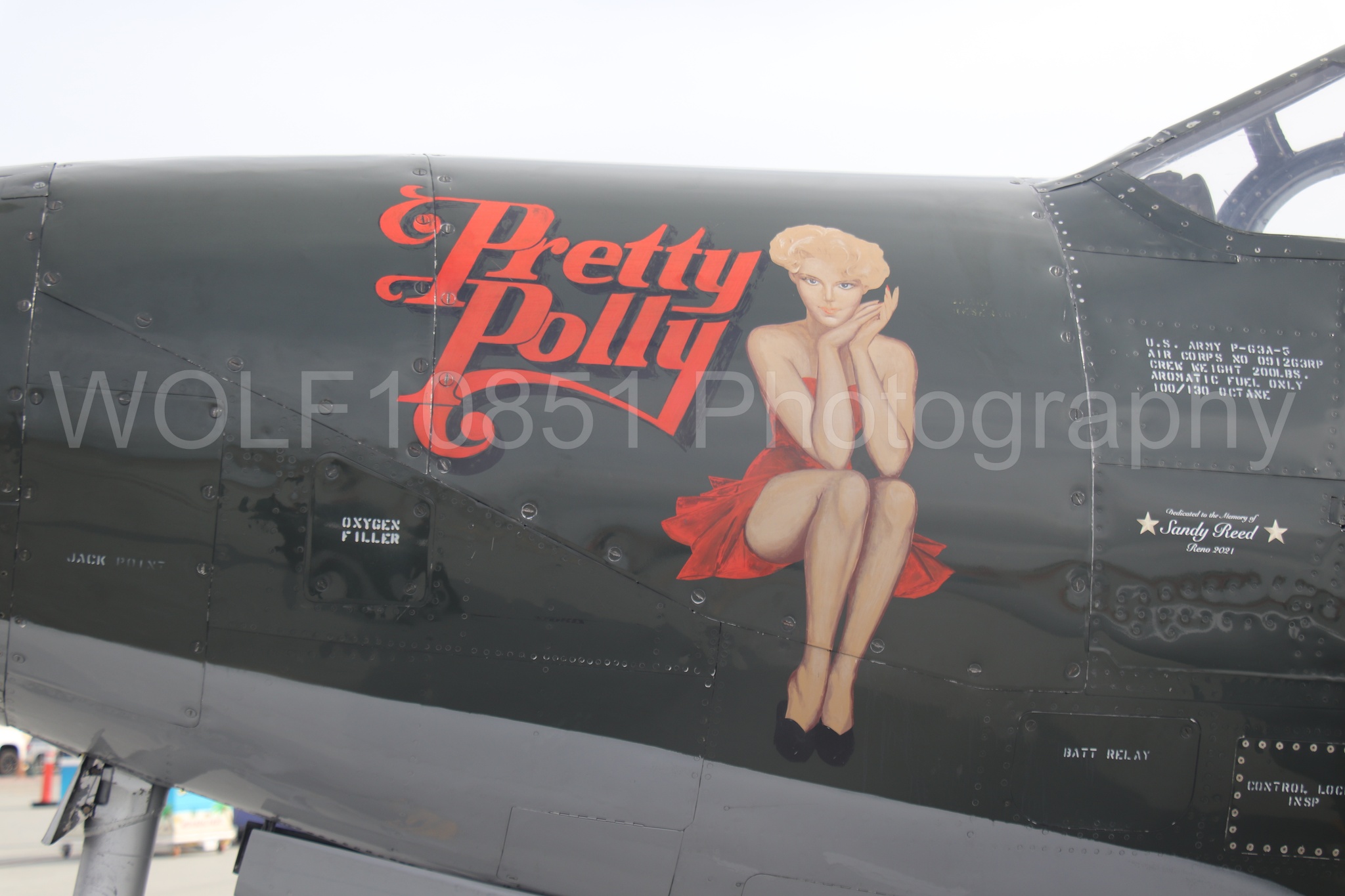P-63 King Cobra | Pretty Polly | WOLF10851 Photography