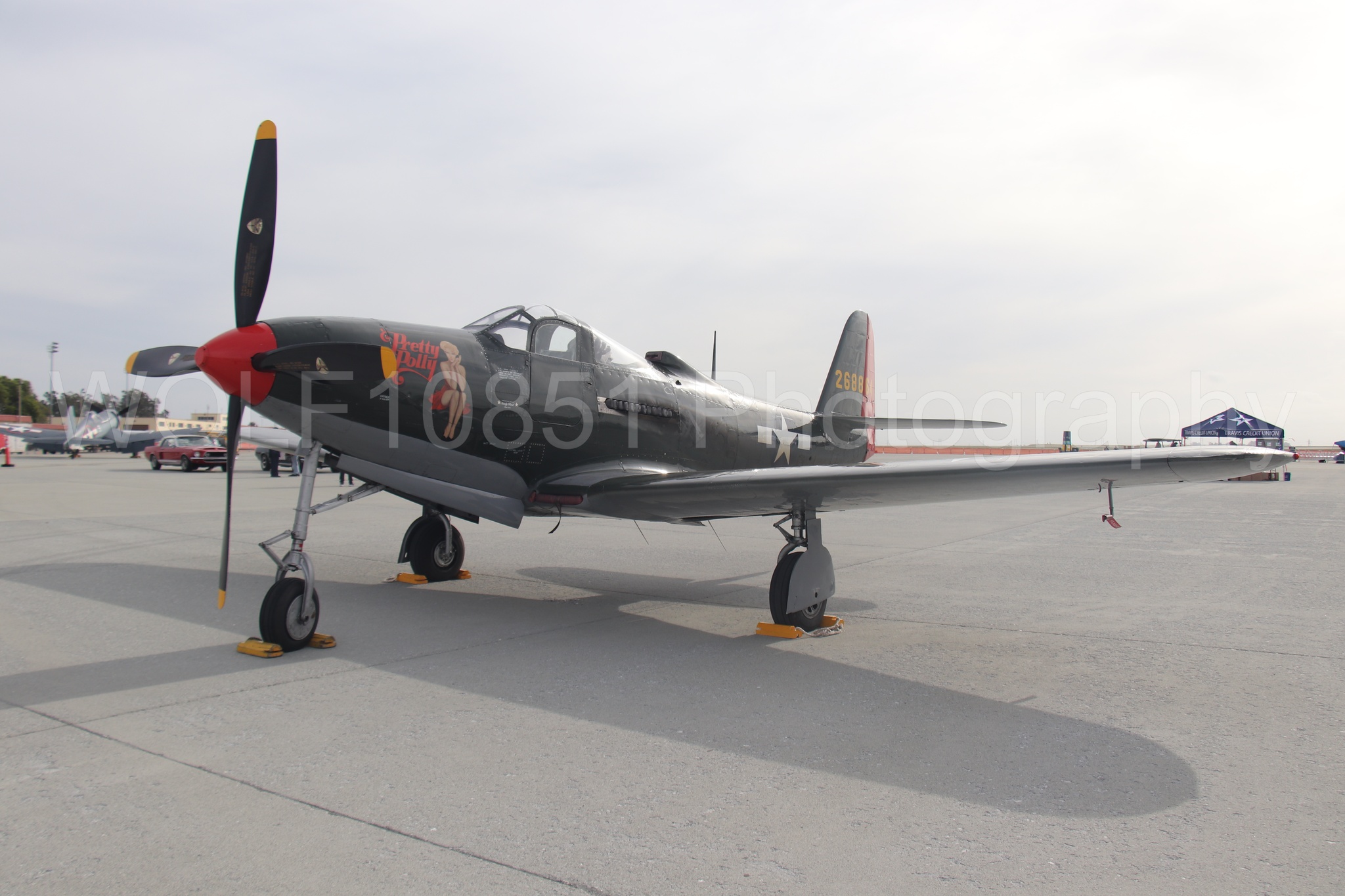 P-63 King Cobra | Pretty Polly | WOLF10851 Photography