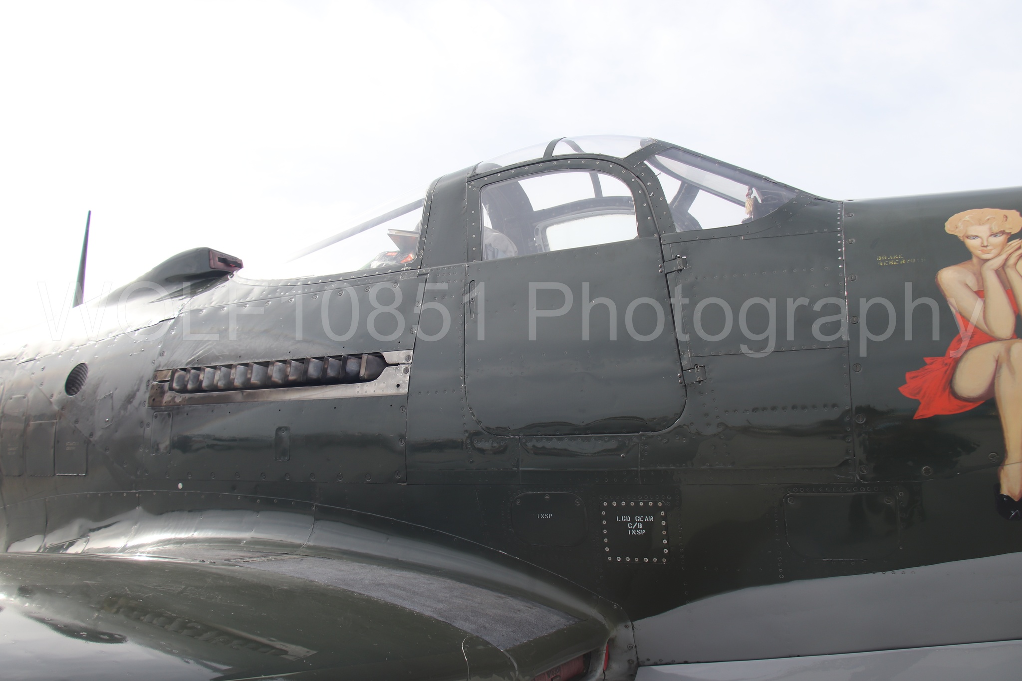 P-63 King Cobra | Pretty Polly | WOLF10851 Photography