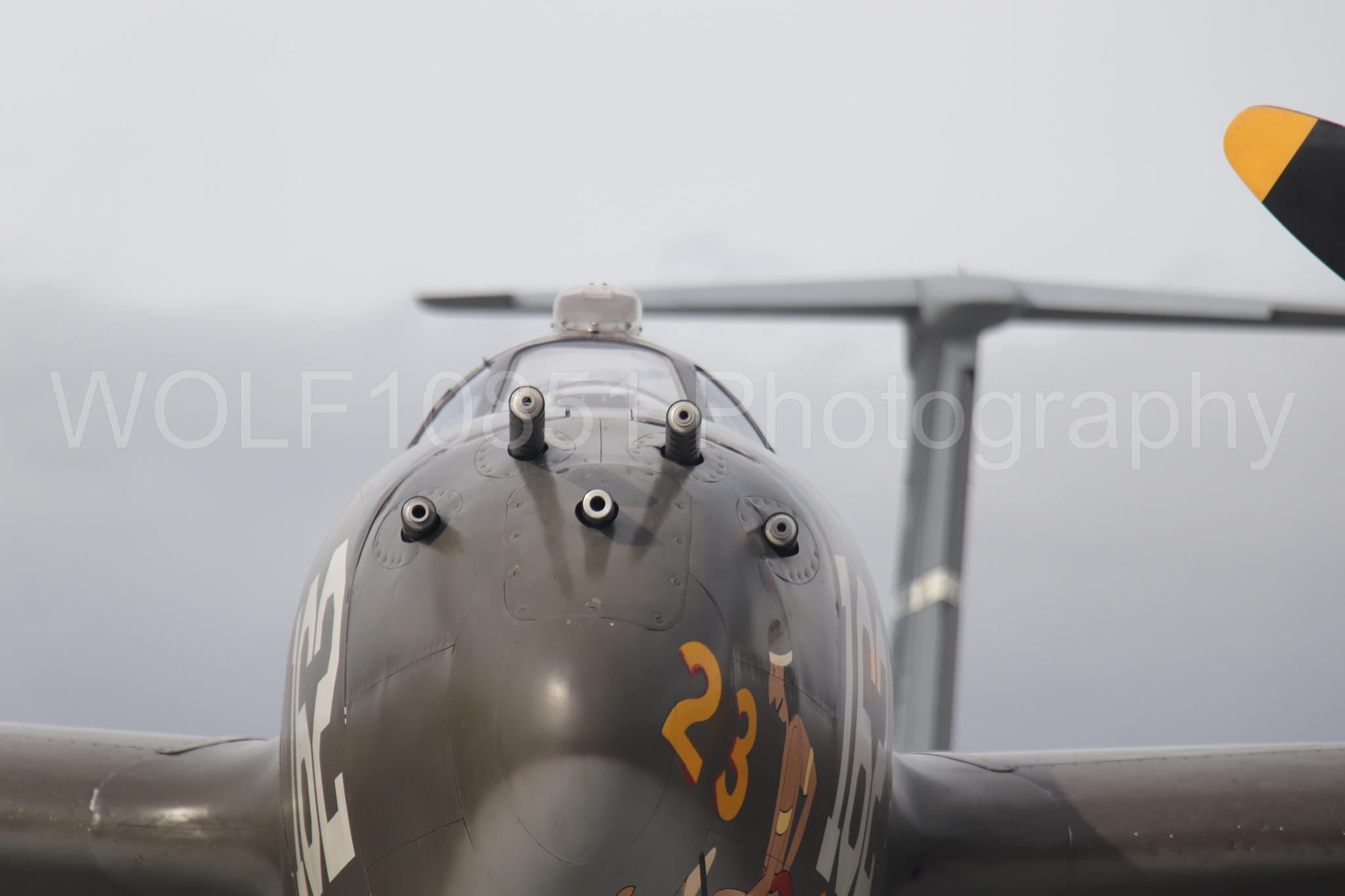 P-38 Lightning | 23 Skidoo | WOLF10851 Photography
