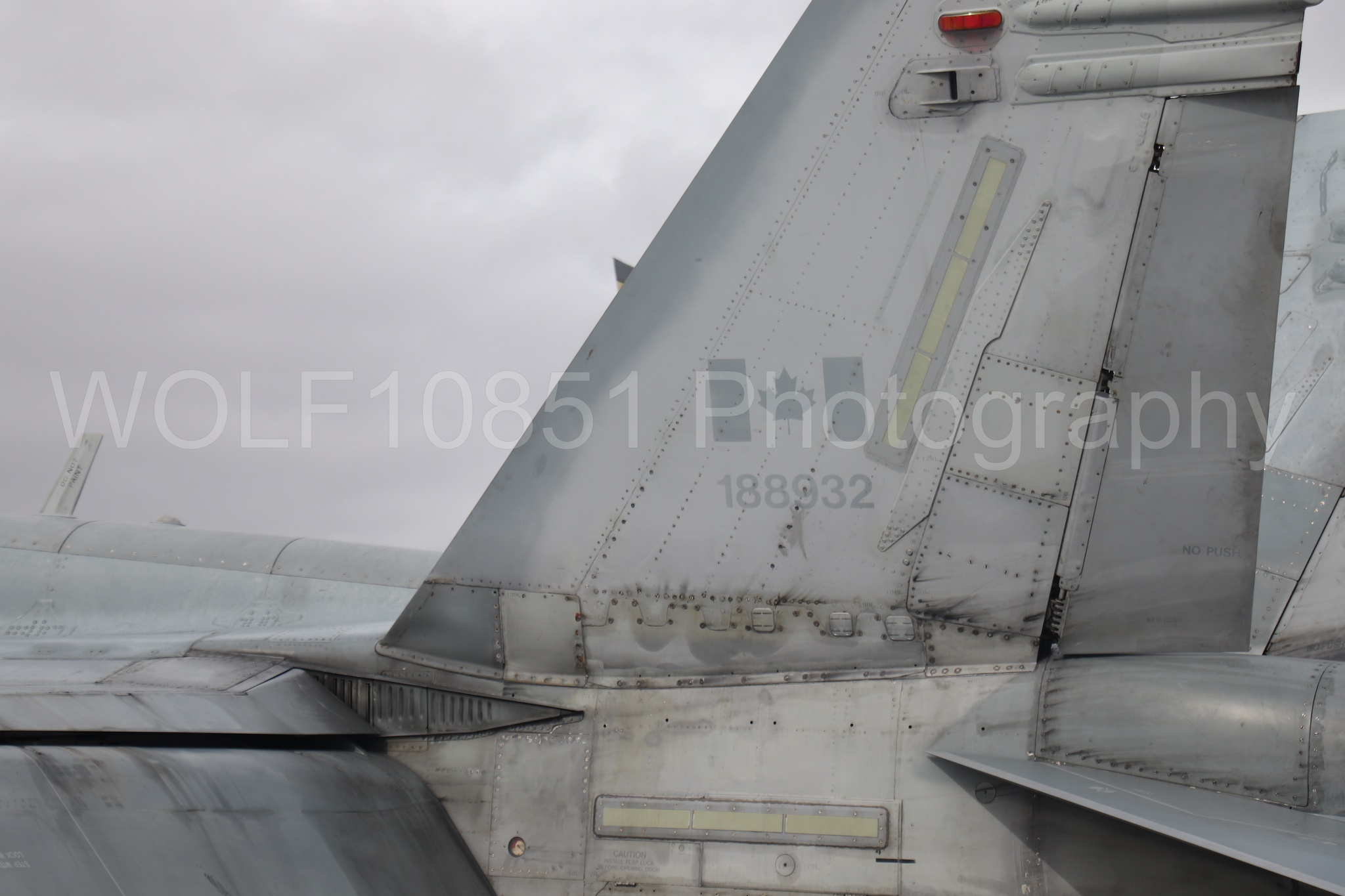CF-18 | WOLF10851 Photography