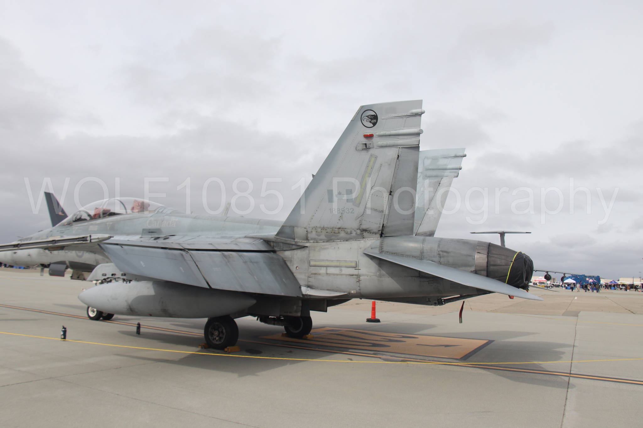 CF-18 | WOLF10851 Photography
