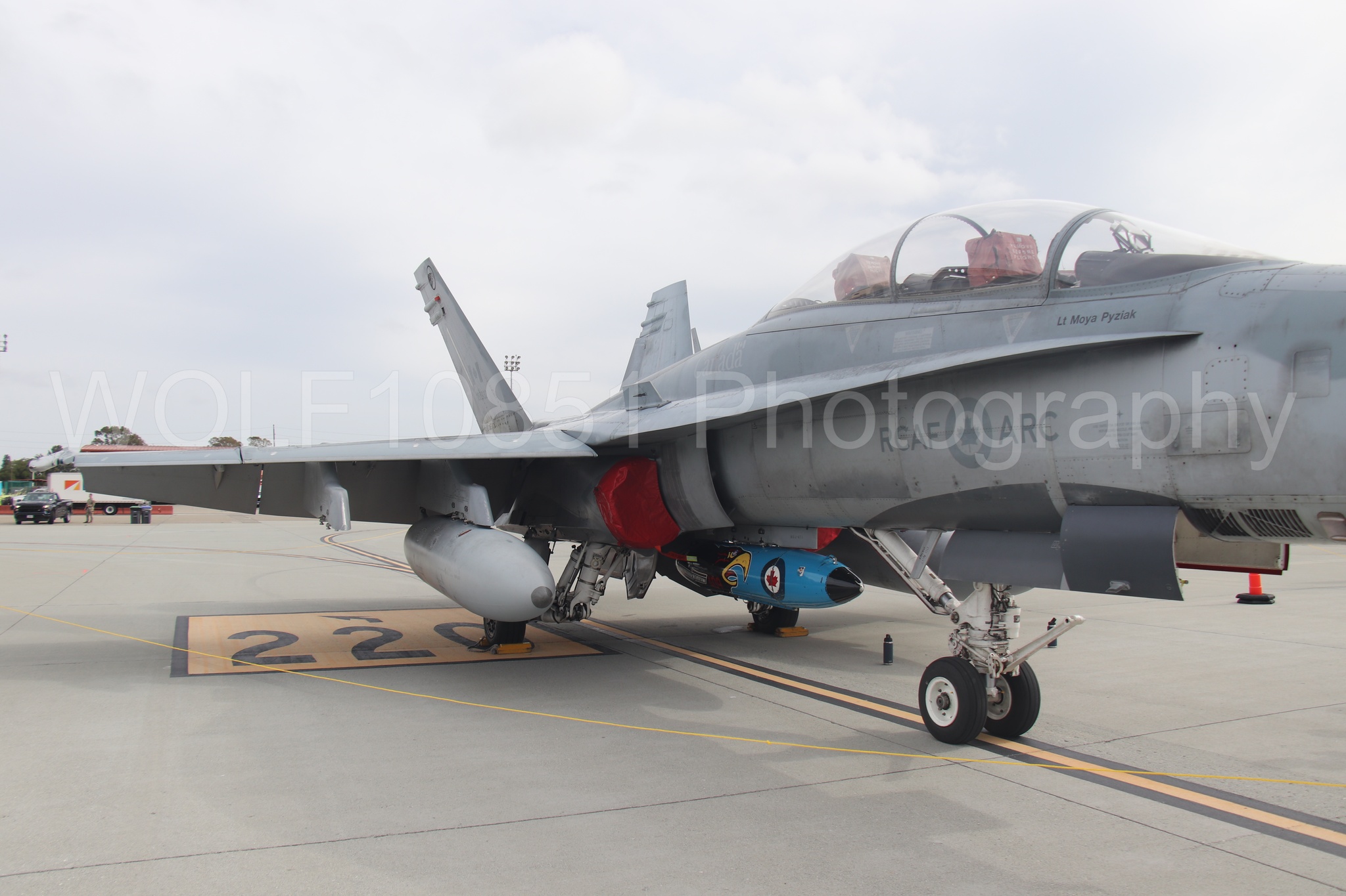 CF-18 | WOLF10851 Photography