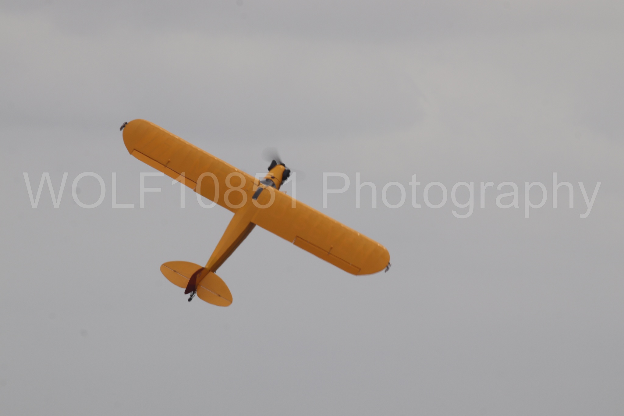 Piper J-3 Cub | Tucker Air Patrol | WOLF10851 Photography