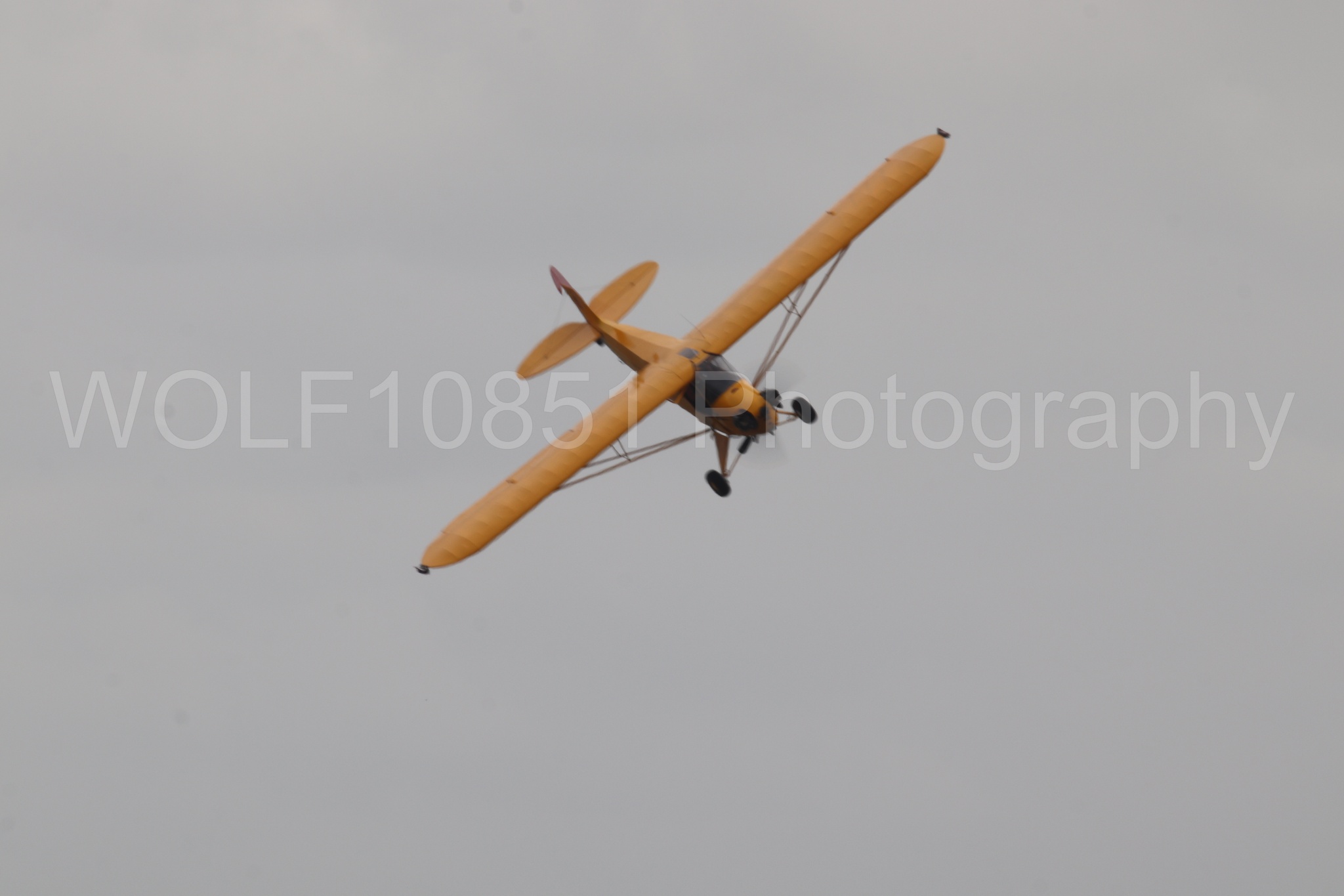 Piper J-3 Cub | Tucker Air Patrol | WOLF10851 Photography