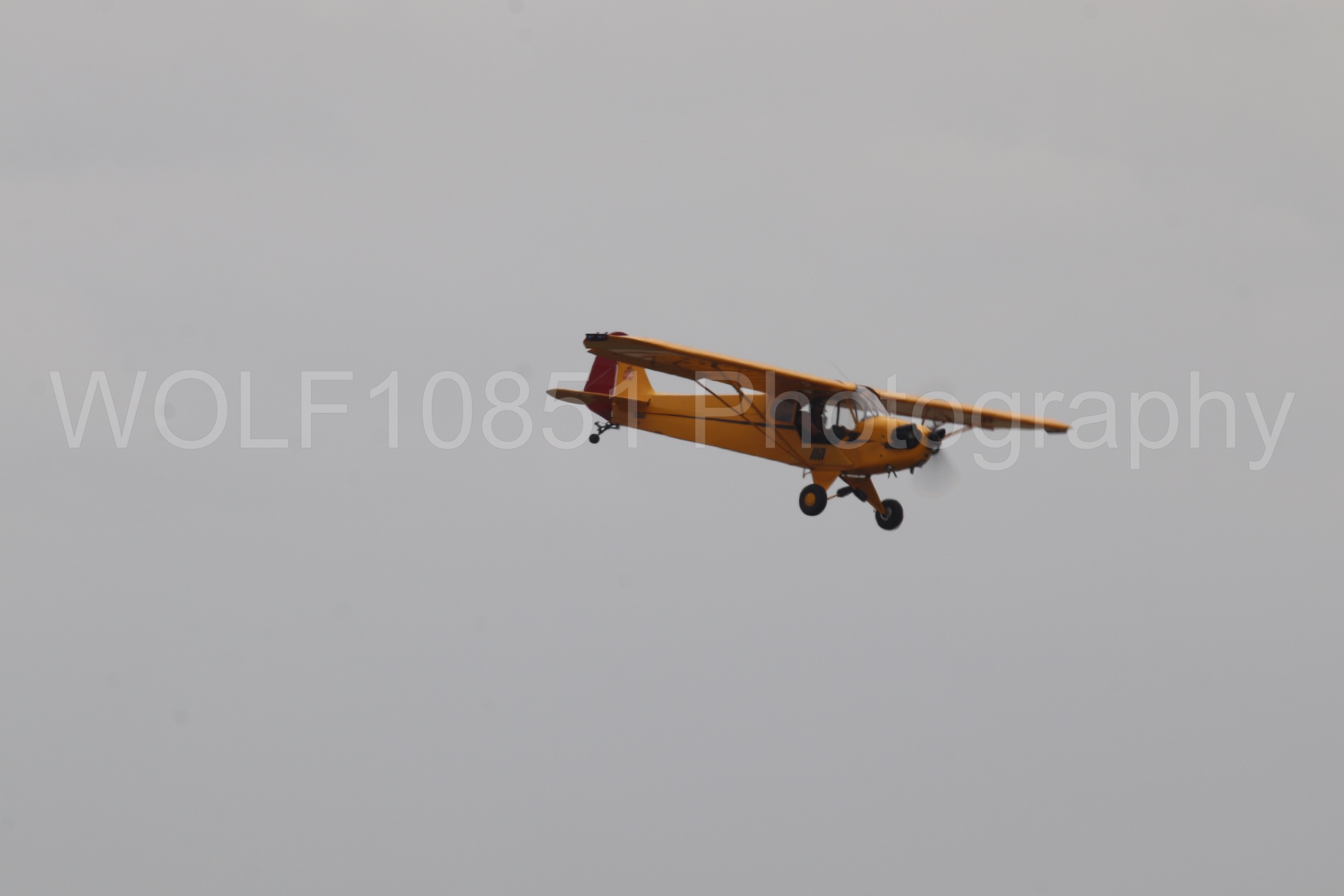 Piper J-3 Cub | Tucker Air Patrol | WOLF10851 Photography