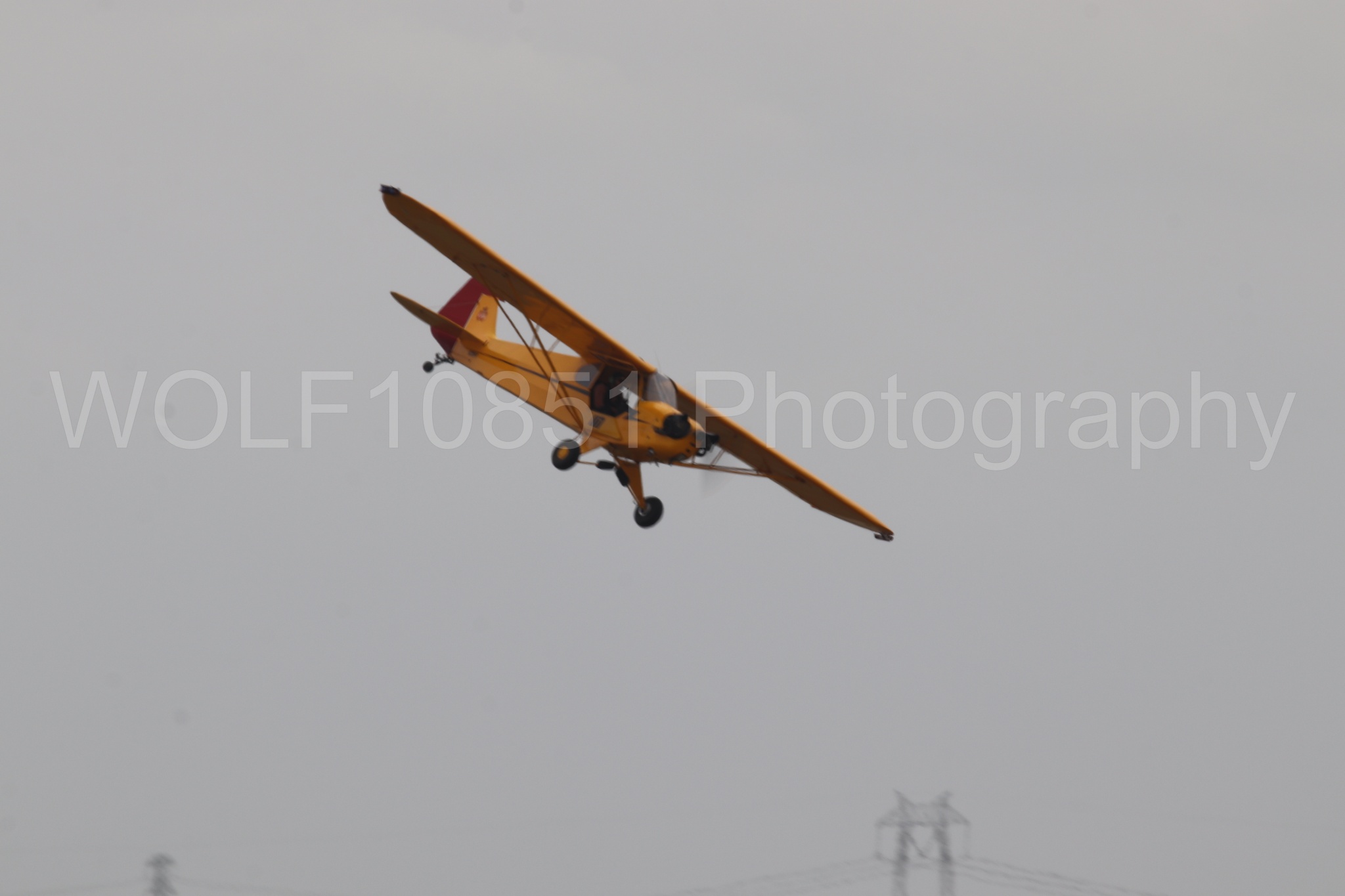 Piper J-3 Cub | Tucker Air Patrol | WOLF10851 Photography