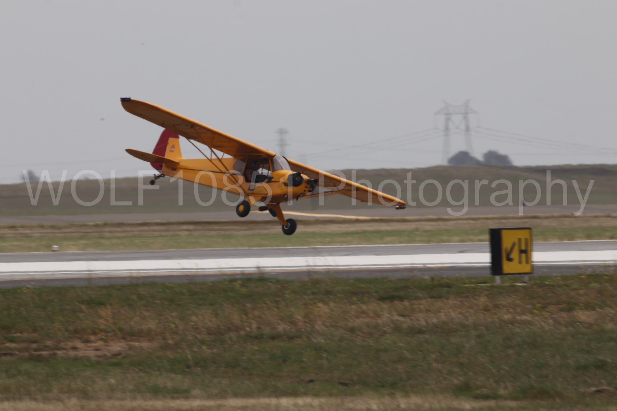 Piper J-3 Cub | Tucker Air Patrol | WOLF10851 Photography