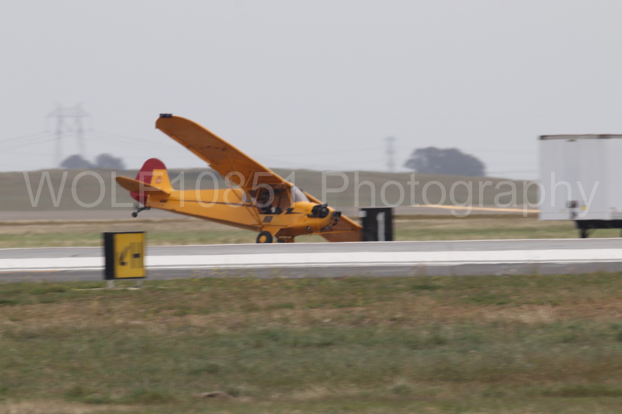 Piper J-3 Cub | Tucker Air Patrol | WOLF10851 Photography