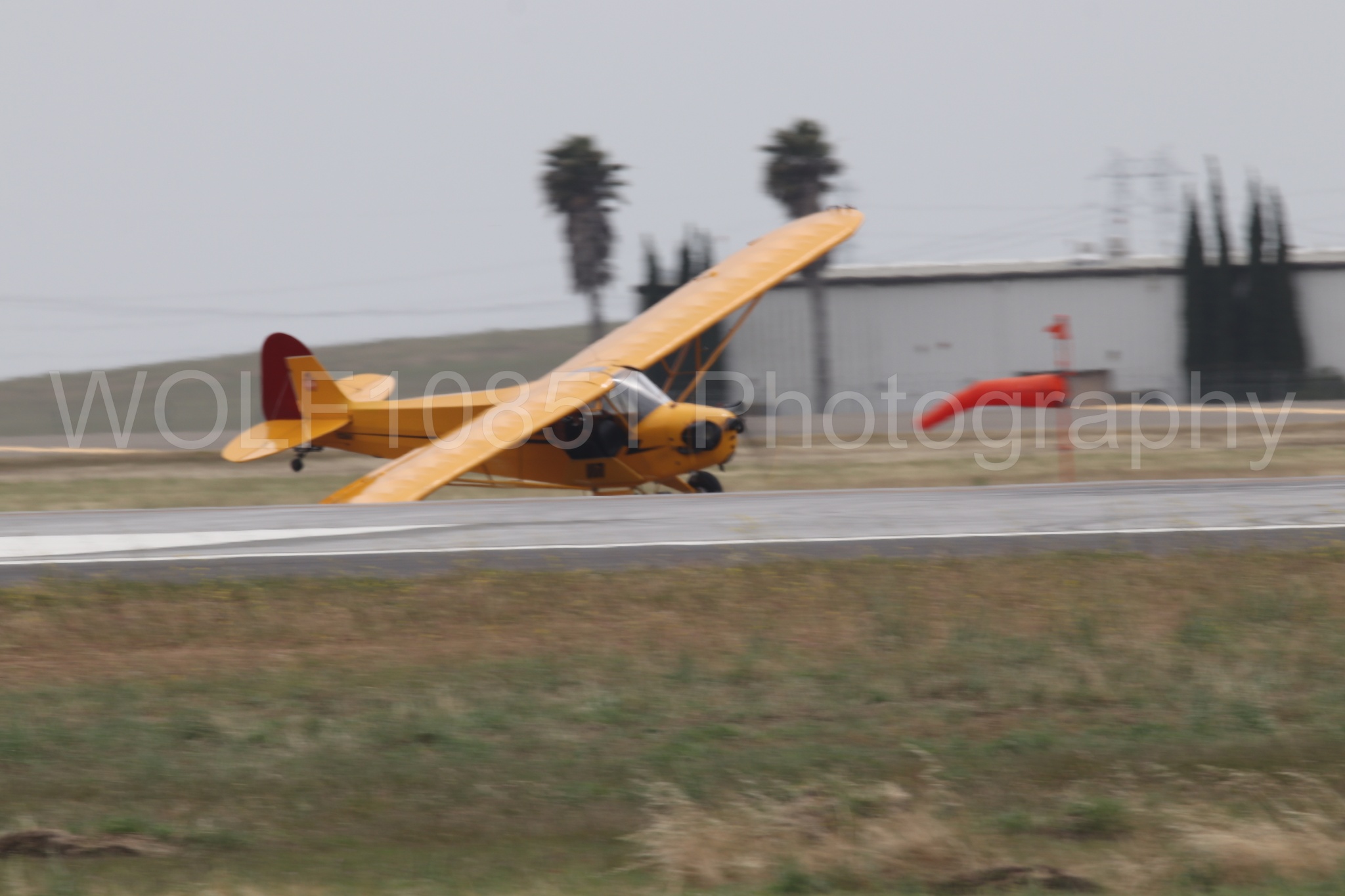 Piper J-3 Cub | Tucker Air Patrol | WOLF10851 Photography