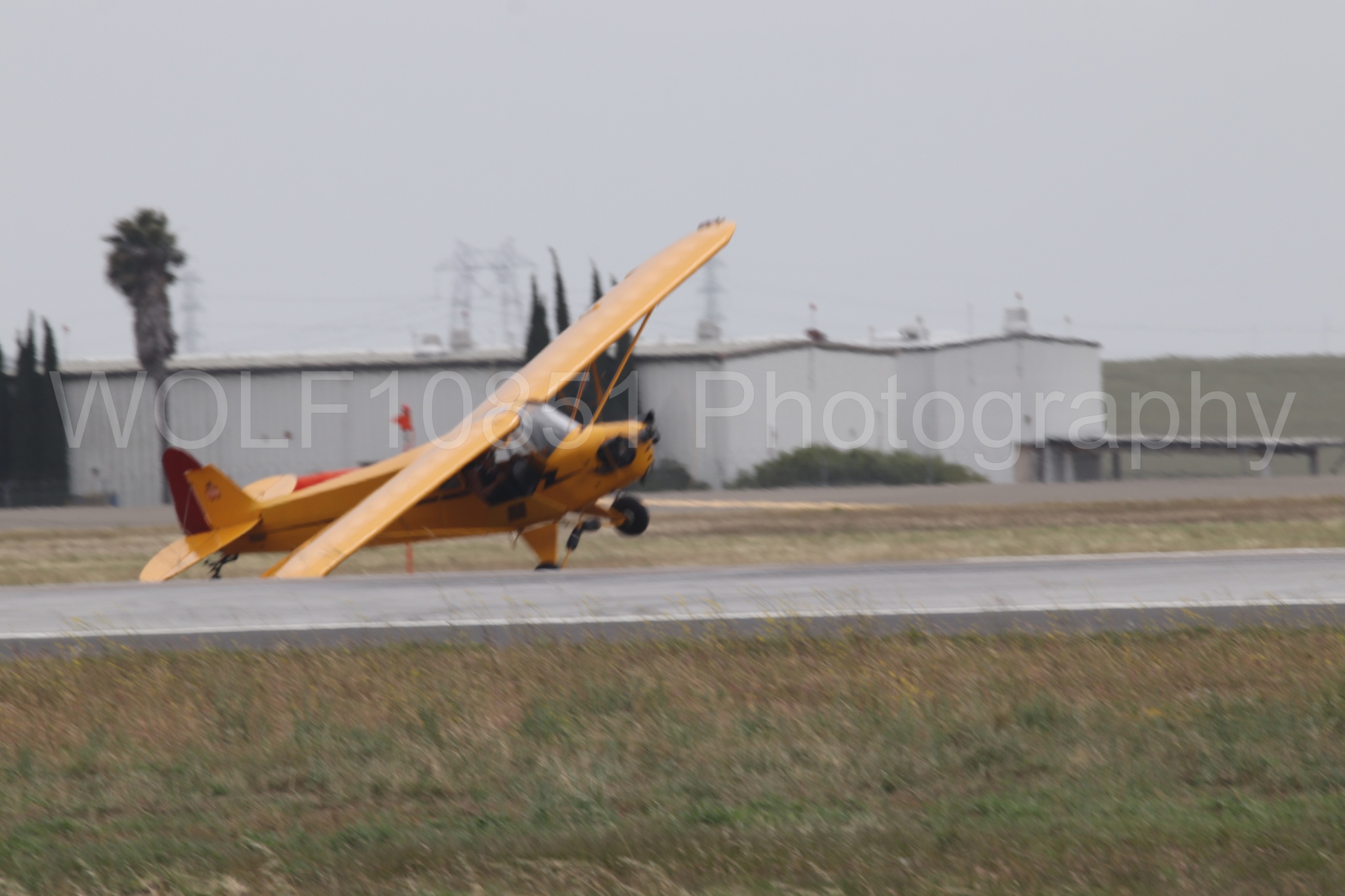 Piper J-3 Cub | Tucker Air Patrol | WOLF10851 Photography