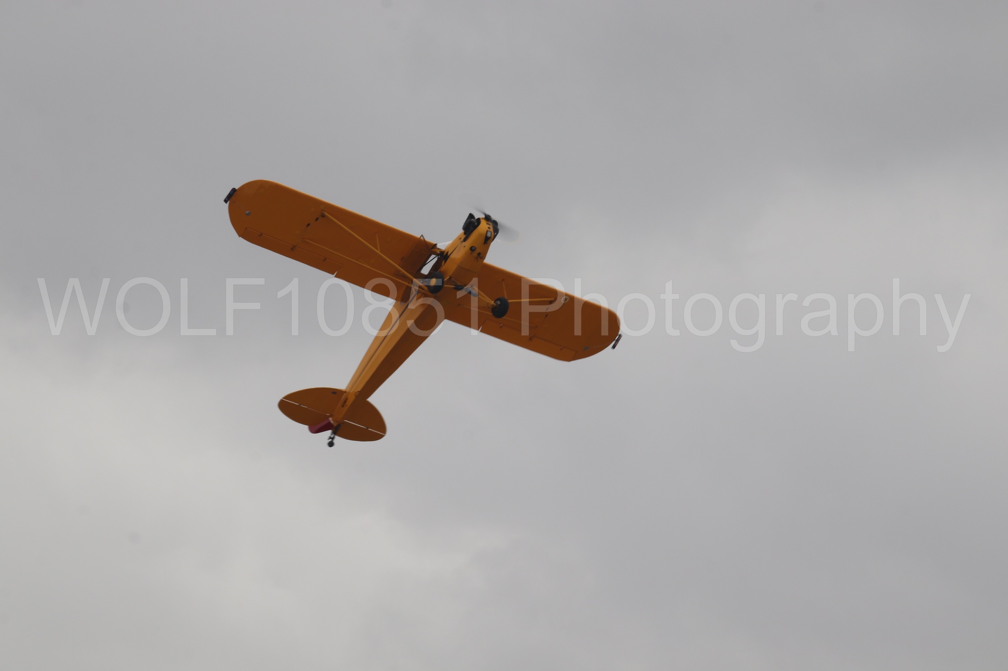 Piper J-3 Cub | Tucker Air Patrol | WOLF10851 Photography
