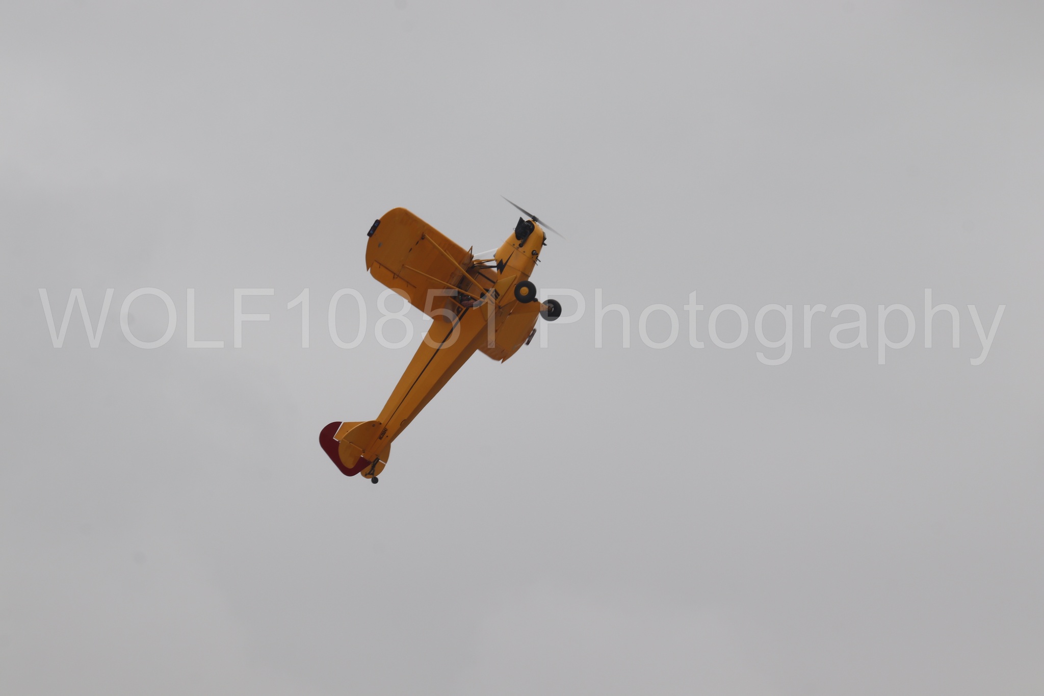 Piper J-3 Cub | Tucker Air Patrol | WOLF10851 Photography